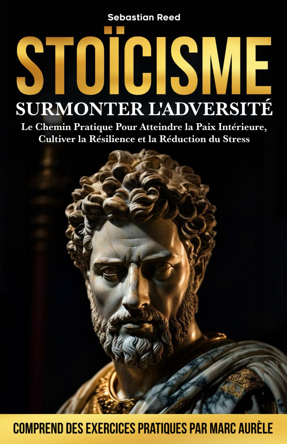 STOÏCISME: Surmonter l'Adversité - Le Chemin Pratique Pour Atteindre la Paix Intérieure, Cultiver la Résilience et la Réduction du Stress | Comprend des Exercices Pratiques par Marc Aurèle book