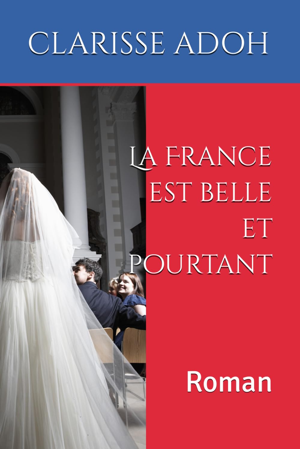 La France est belle et pourtant: Roman book