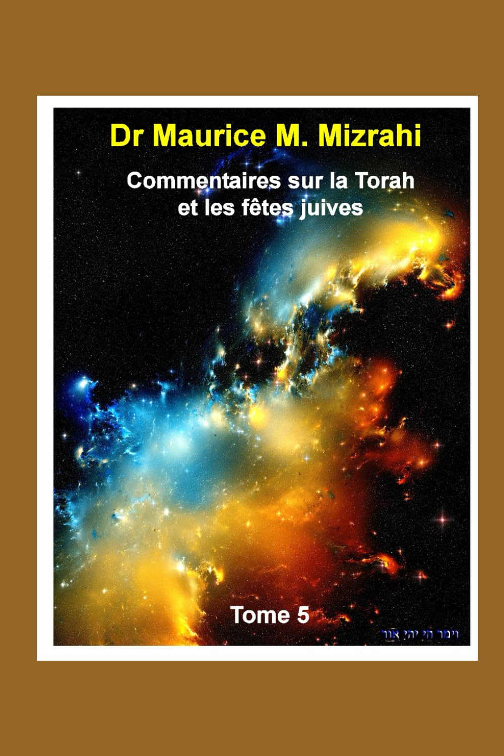 Commentaires sur la Torah et les fêtes juives, Tome 5 book