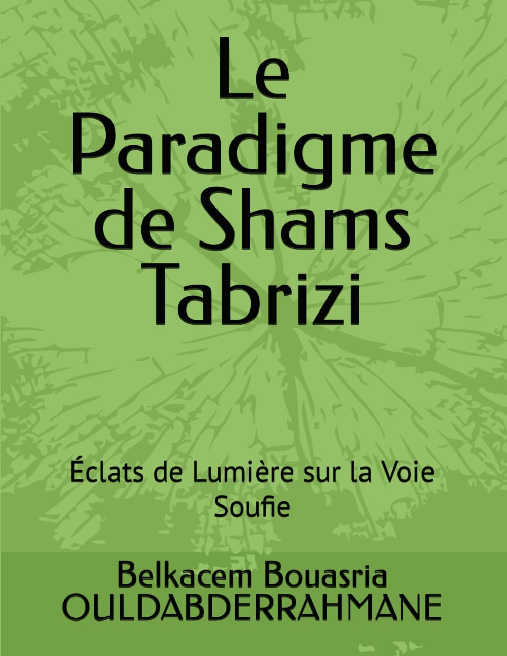 le paradigme de Shams Tabrizi: Éclats de Lumière sur la Voie Soufie book
