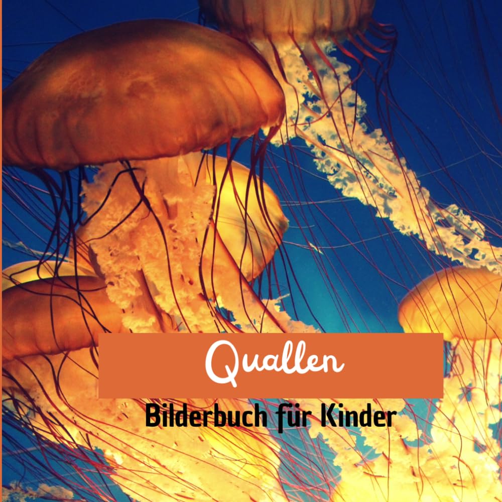 Quallen: Bilderbuch für Kinder Leisure, Home & Garden
