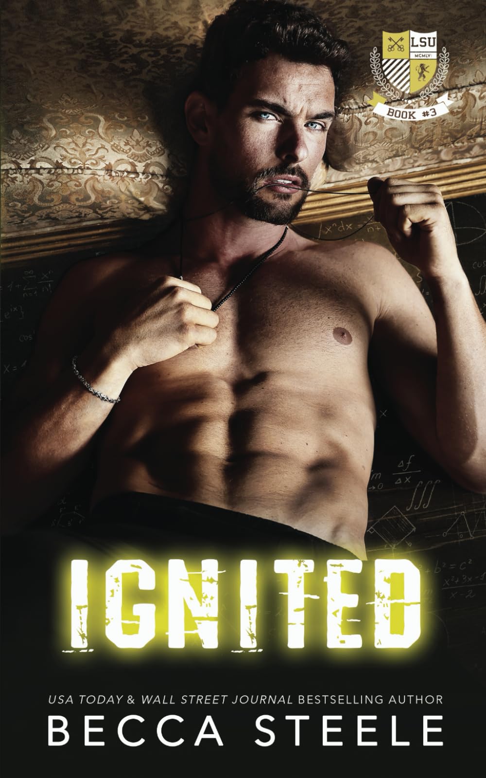 Ignited: An M/M College Romance (LSU, Band 3) International