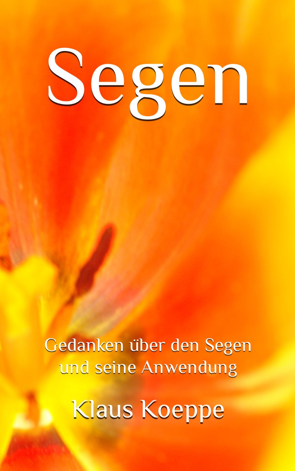 Segen: Gedanken über den Segen und seine Anwendung Religion & Esotericism