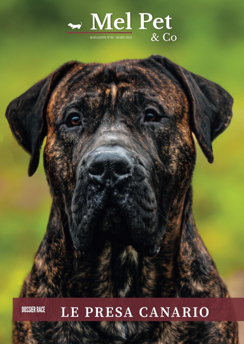 Mel Pet & Co - Le Mag Canin #32 : Presa Canario book