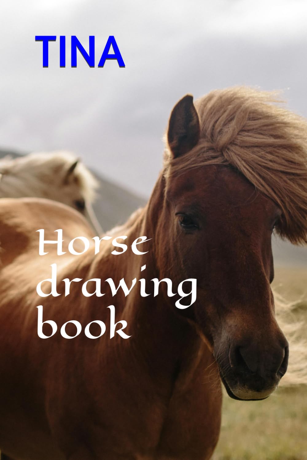 Horse drawing book Books