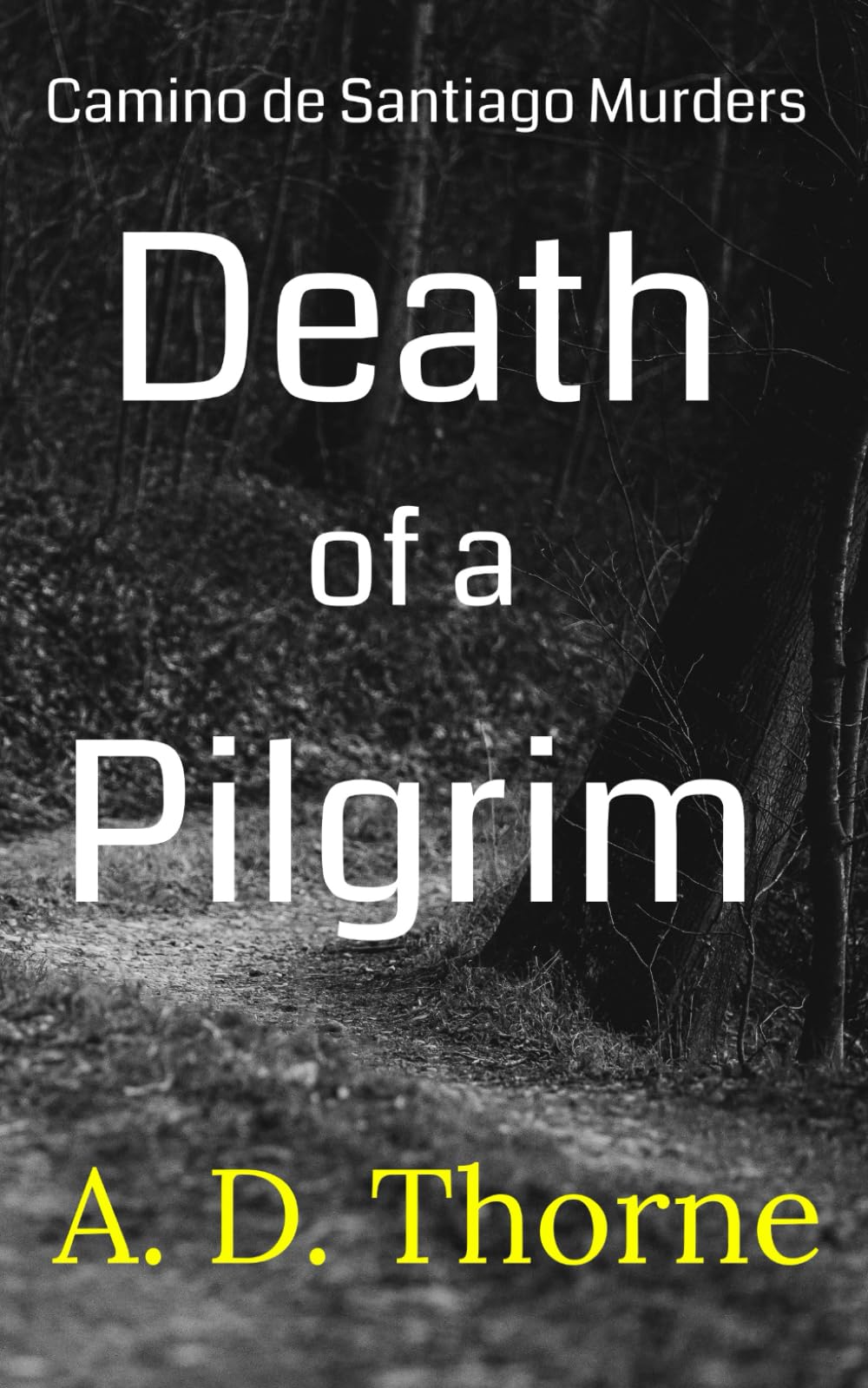 Death of a Pilgrim: Camino Mystery (Camino de Santiago Murders, Band 1) Action & Adventure