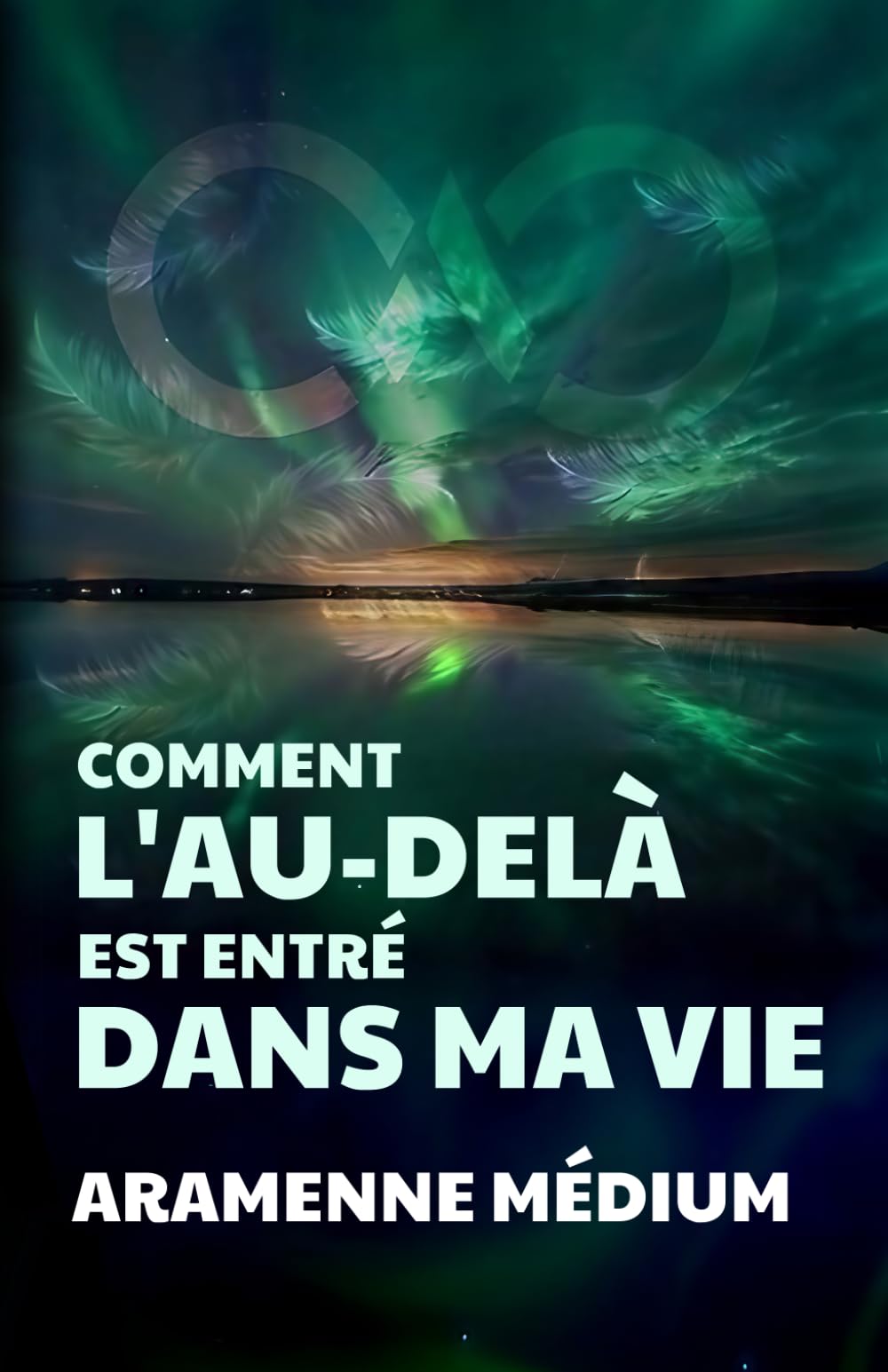 Comment l'Au-Delà est entré dans ma vie: À la rencontre de mon destin book