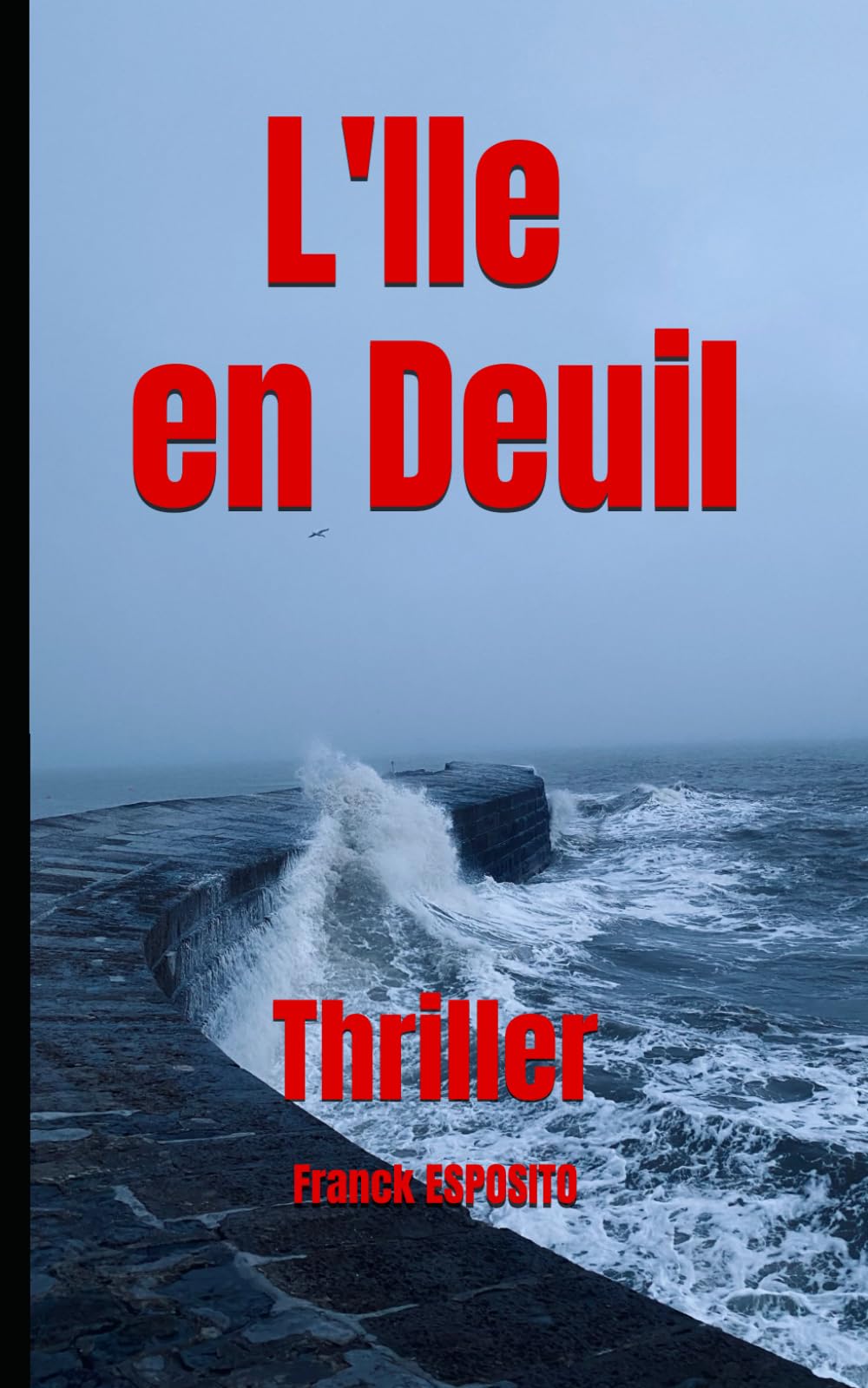 L'Ile en Deuil: Thriller (Les enquêtes de Laura Costa., Band 4) Suspense & Thrillers
