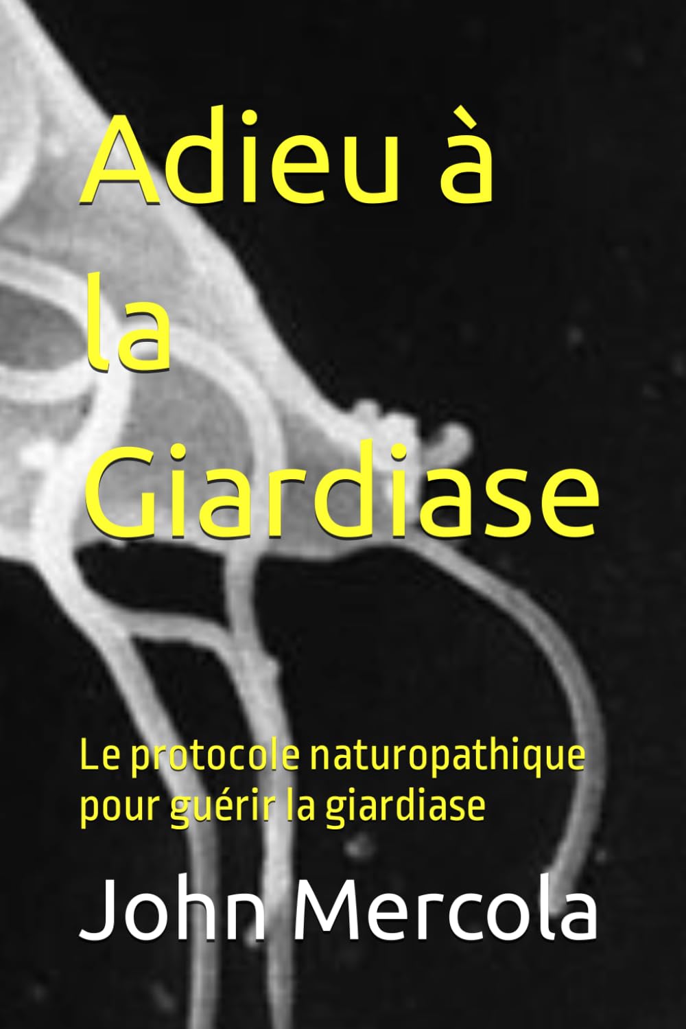 Adieu à la Giardiase: Le protocole naturopathique pour guérir la giardiase book