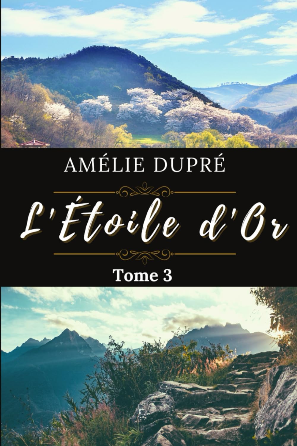 L’Étoile d’Or - Tome 3 : Mélanie Galligan book