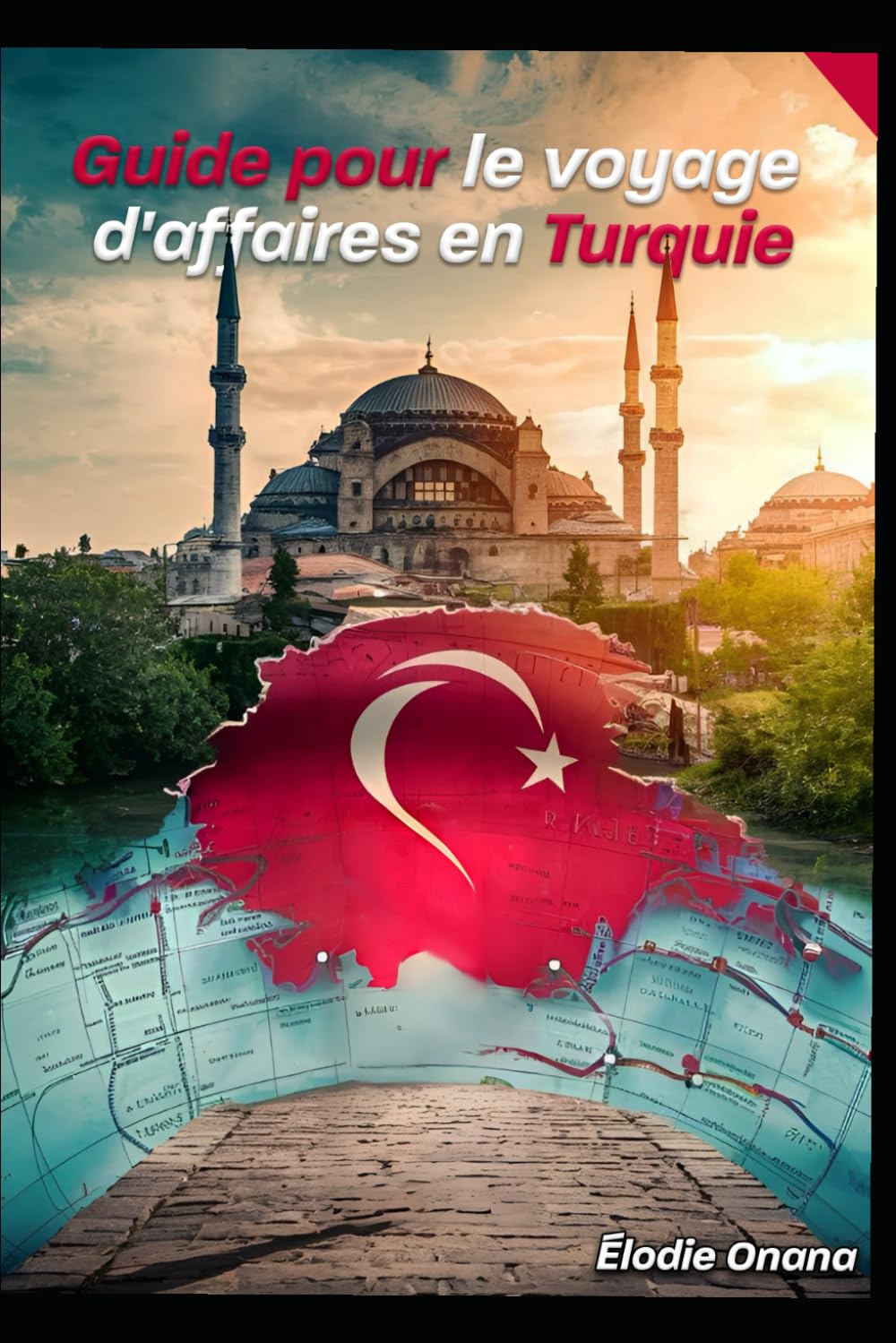 Guide pour le voyage d'affaires en Turquie book