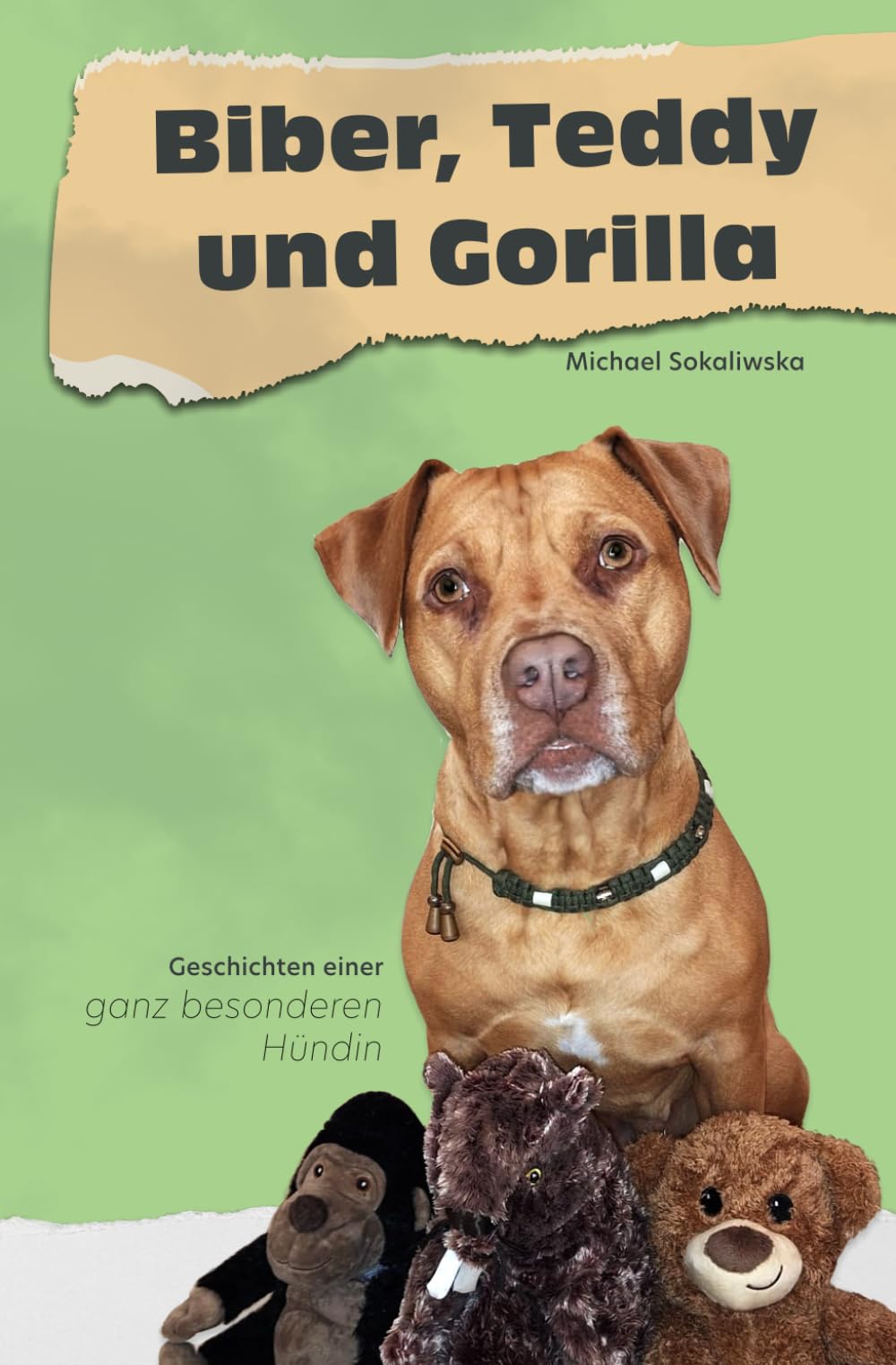 Biber, Teddy und Gorilla: Geschichten einer ganz besonderen Hündin book