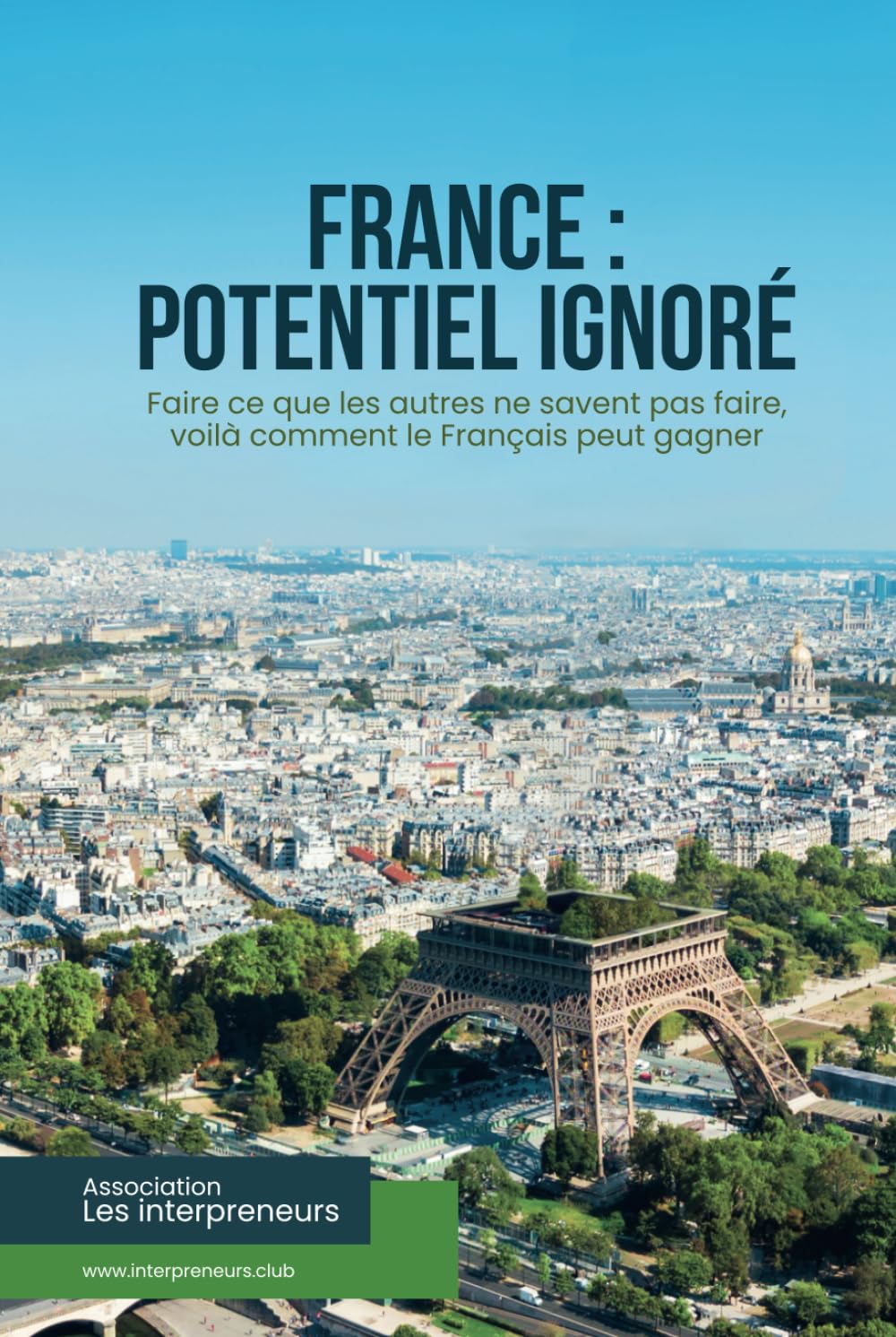 France : potentiel ignoré: Faire ce que les autres ne savent pas faire, voilà comment le Français peut gagner book