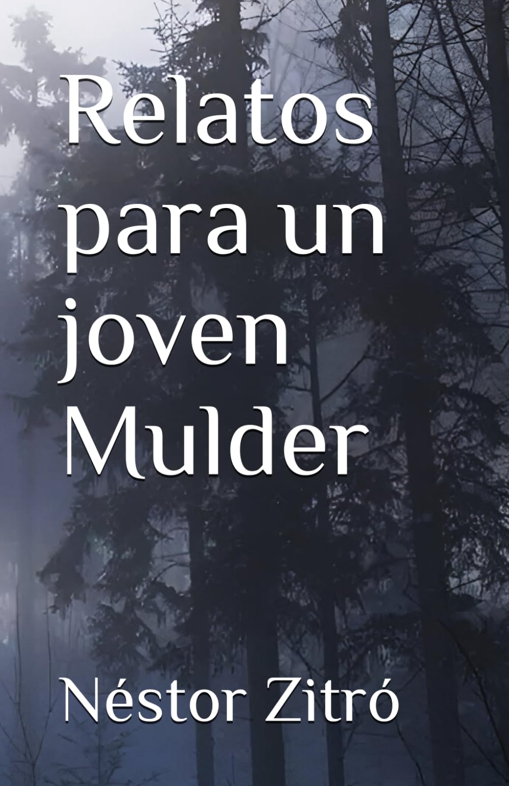 Relatos para un joven Mulder Contemporary literature