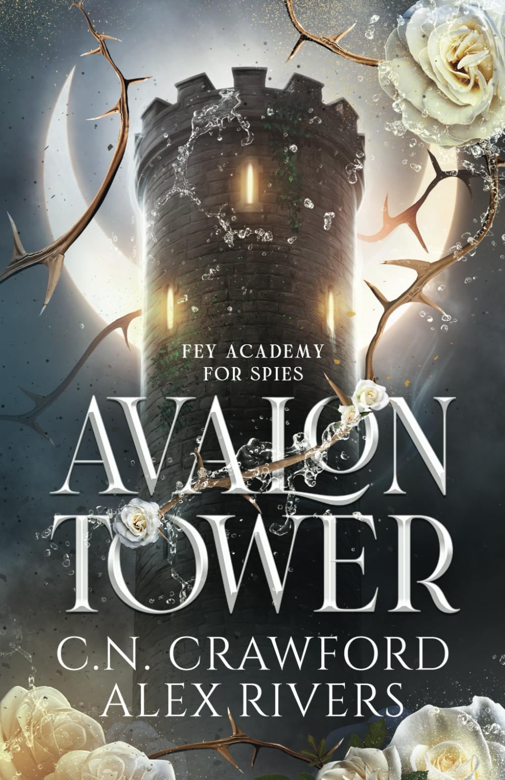 Avalon Tower (Fey Spy Academy, Band 1) Fairy Tales & Legends