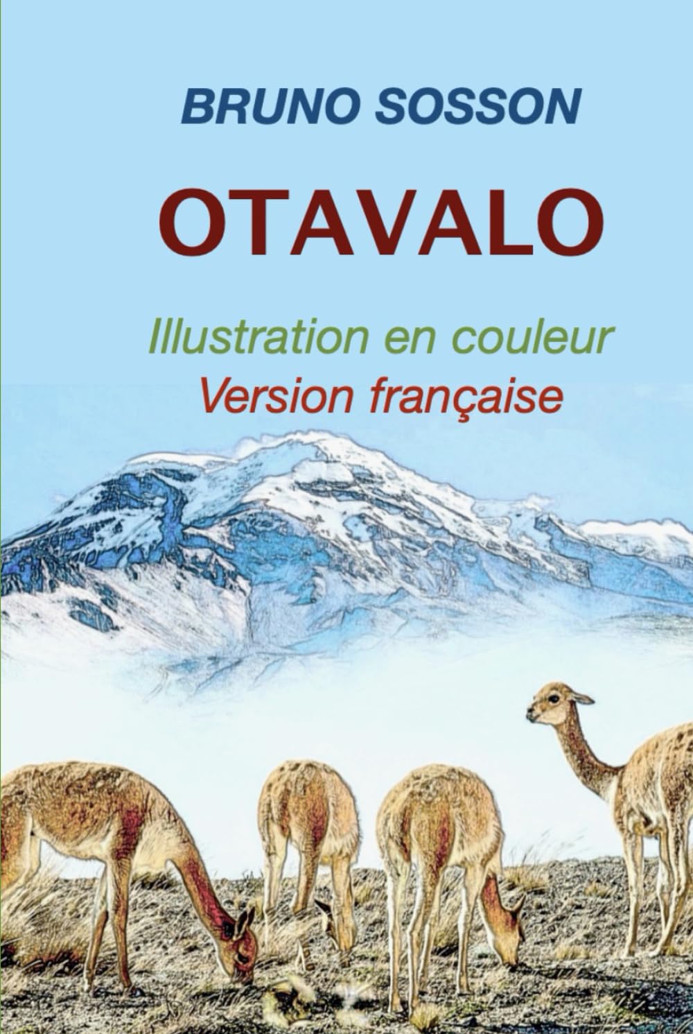 OTAVALO: L'avenue des volcans book