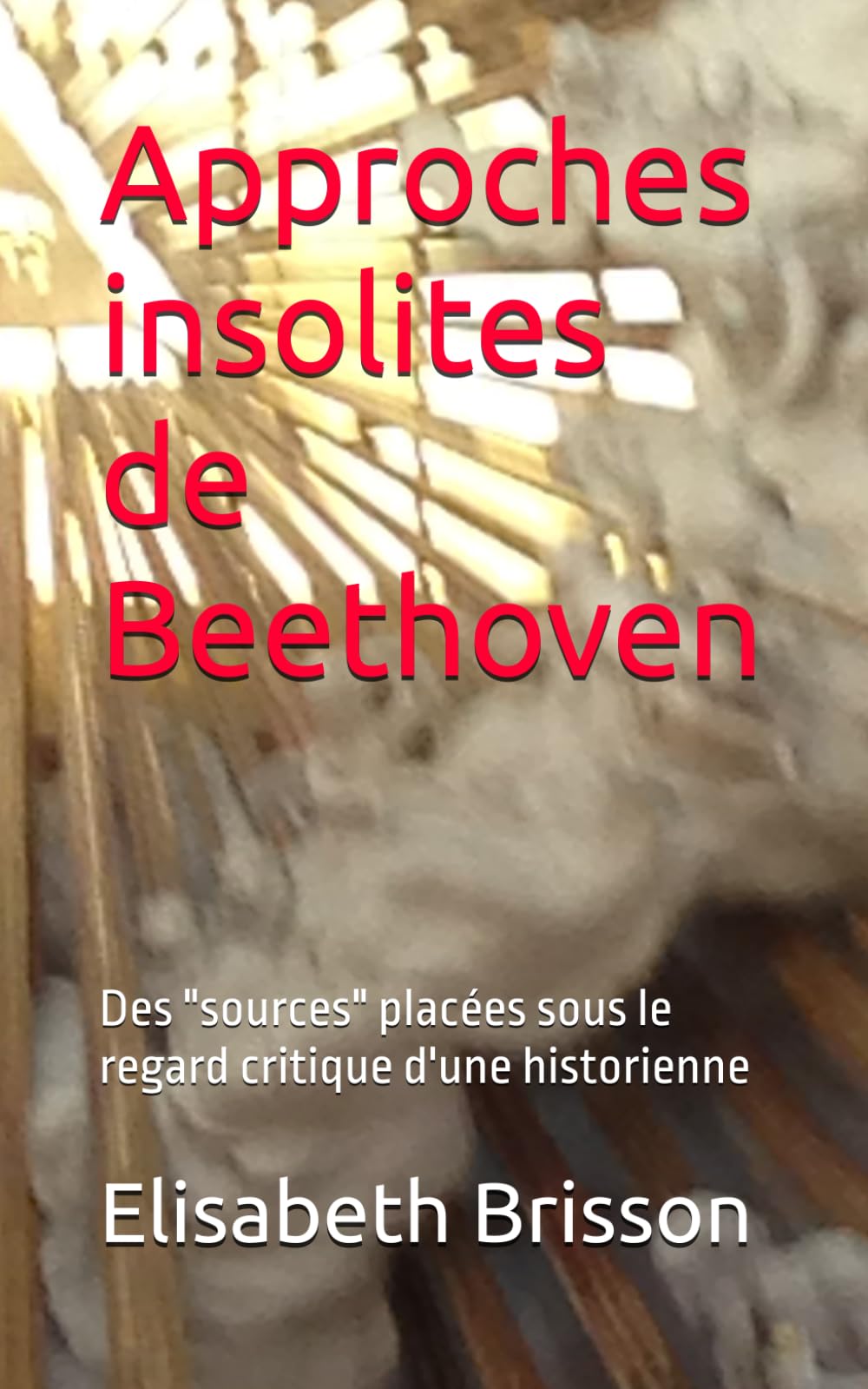 Approches insolites de Beethoven: Des "sources" placées sous le regard critique d'une historienne book
