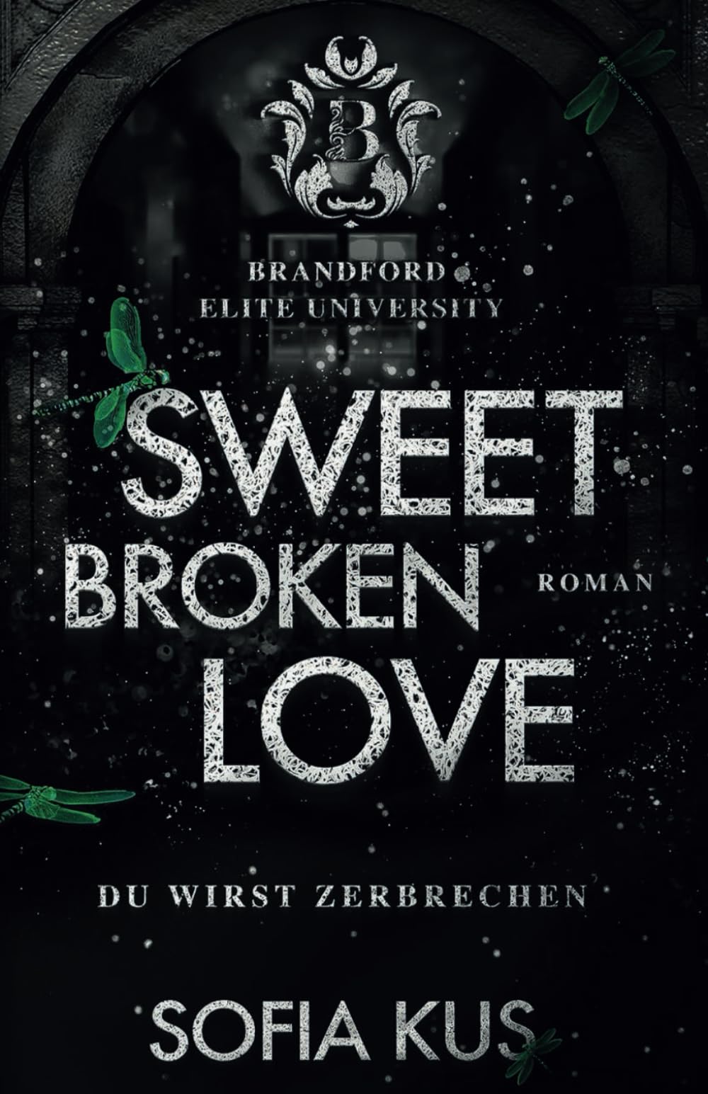 Sweet Broken Love: Brandford Elite University – Bully Romance – Enemies To Lovers New Adult