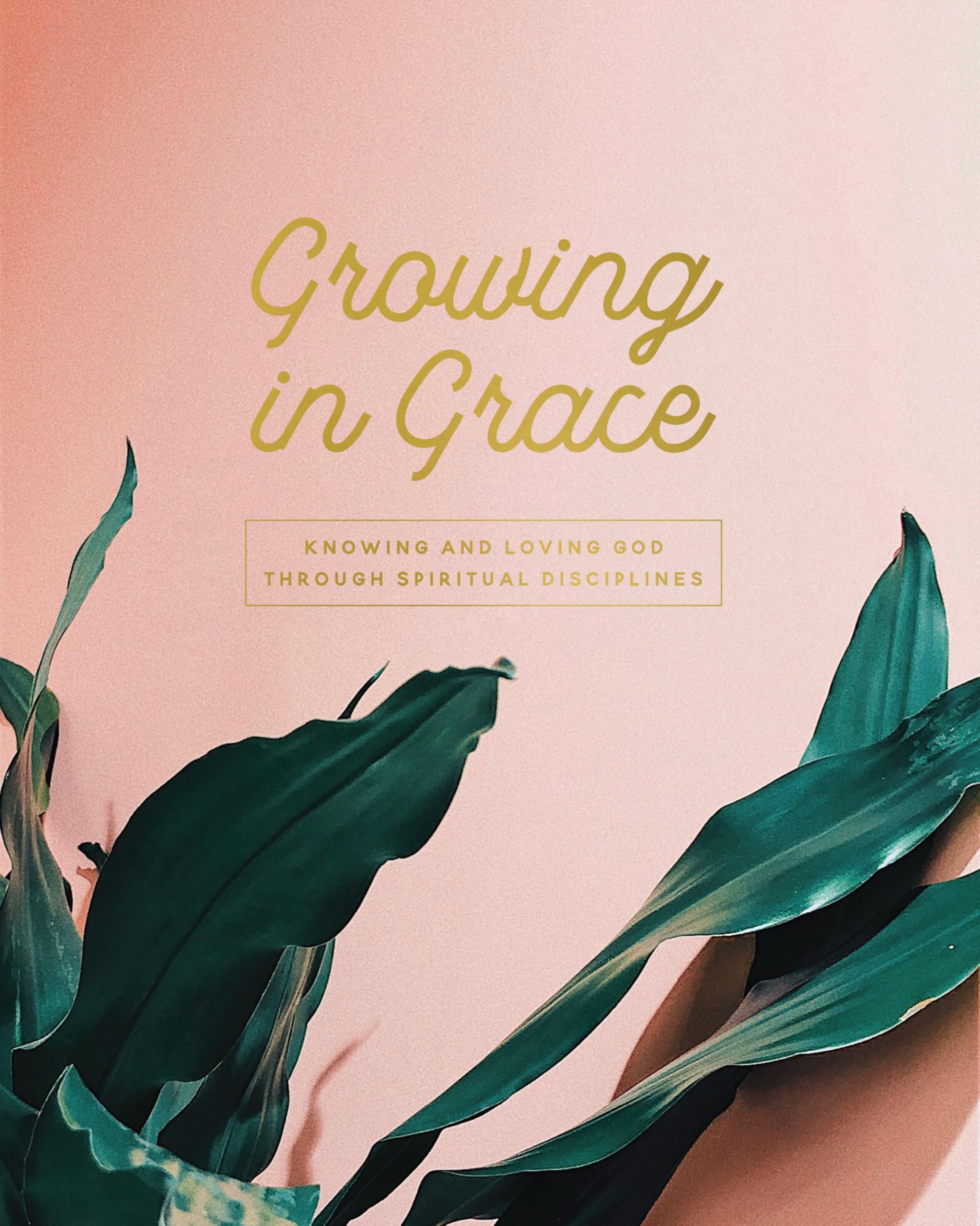 Grandir en grâce | Étude sur les disciplines spirituelles book