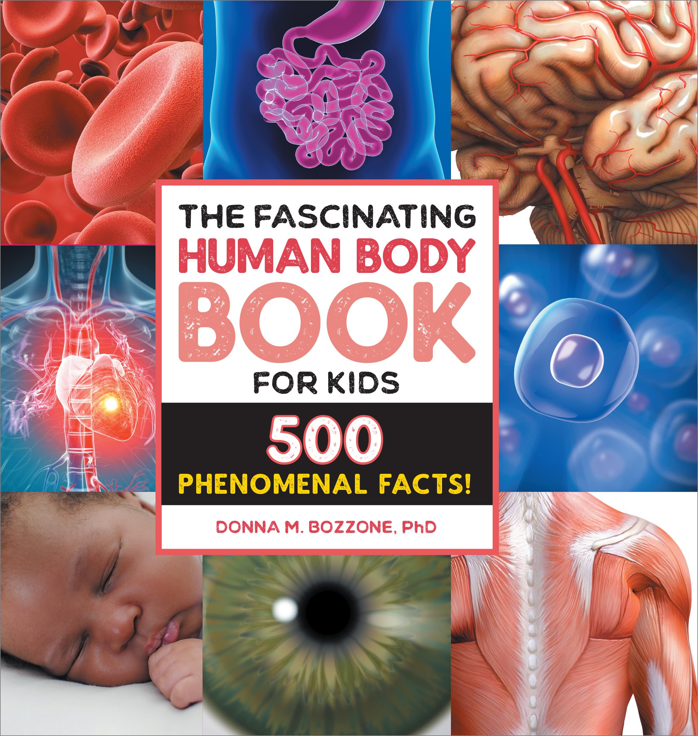 The Fascinating Human Body Book for Kids Health, Nutrition & Fitness