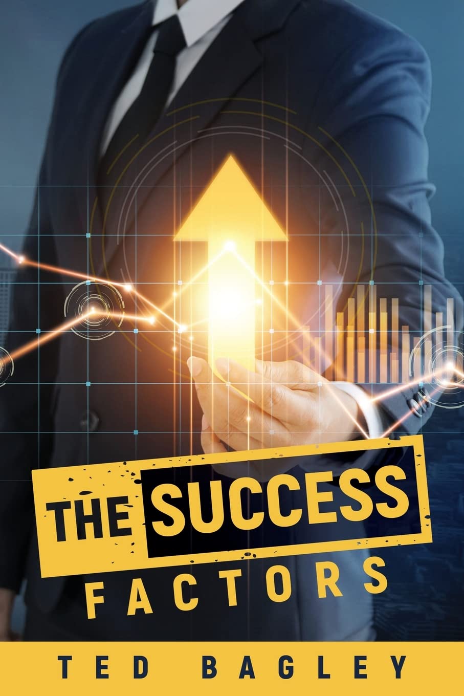 Product Image: The Success Factors