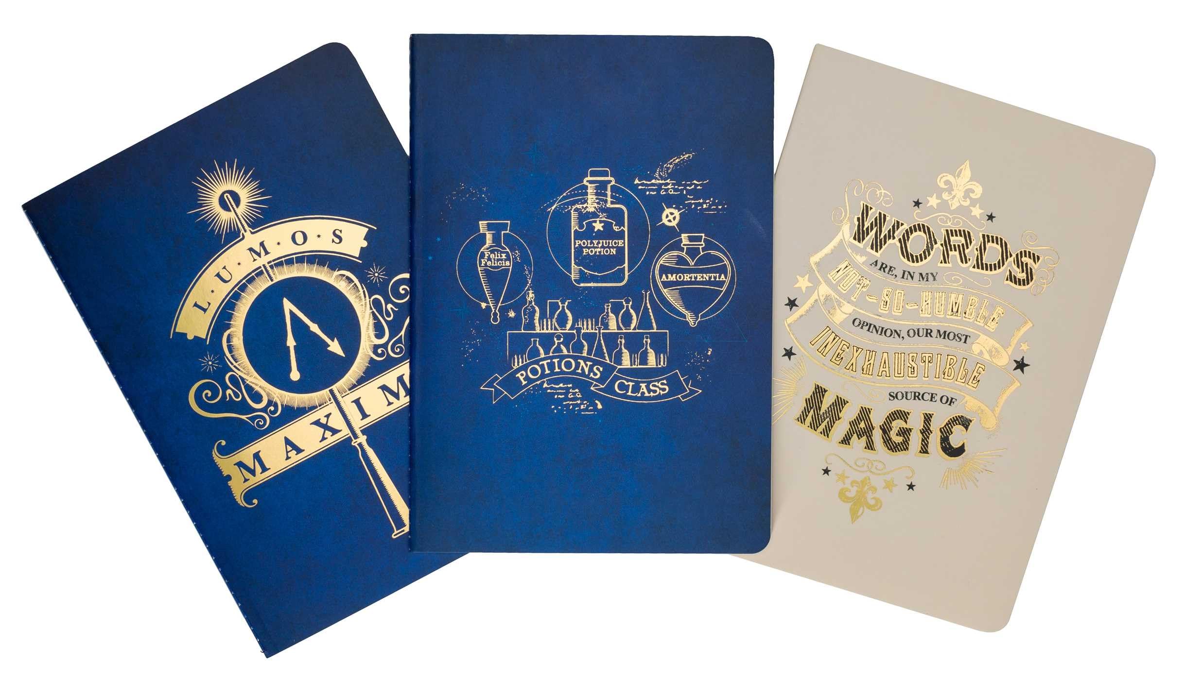 Harry Potter: Spells and Potions Planner Notebook Collection (Set of 3) Film, Art & Culture
