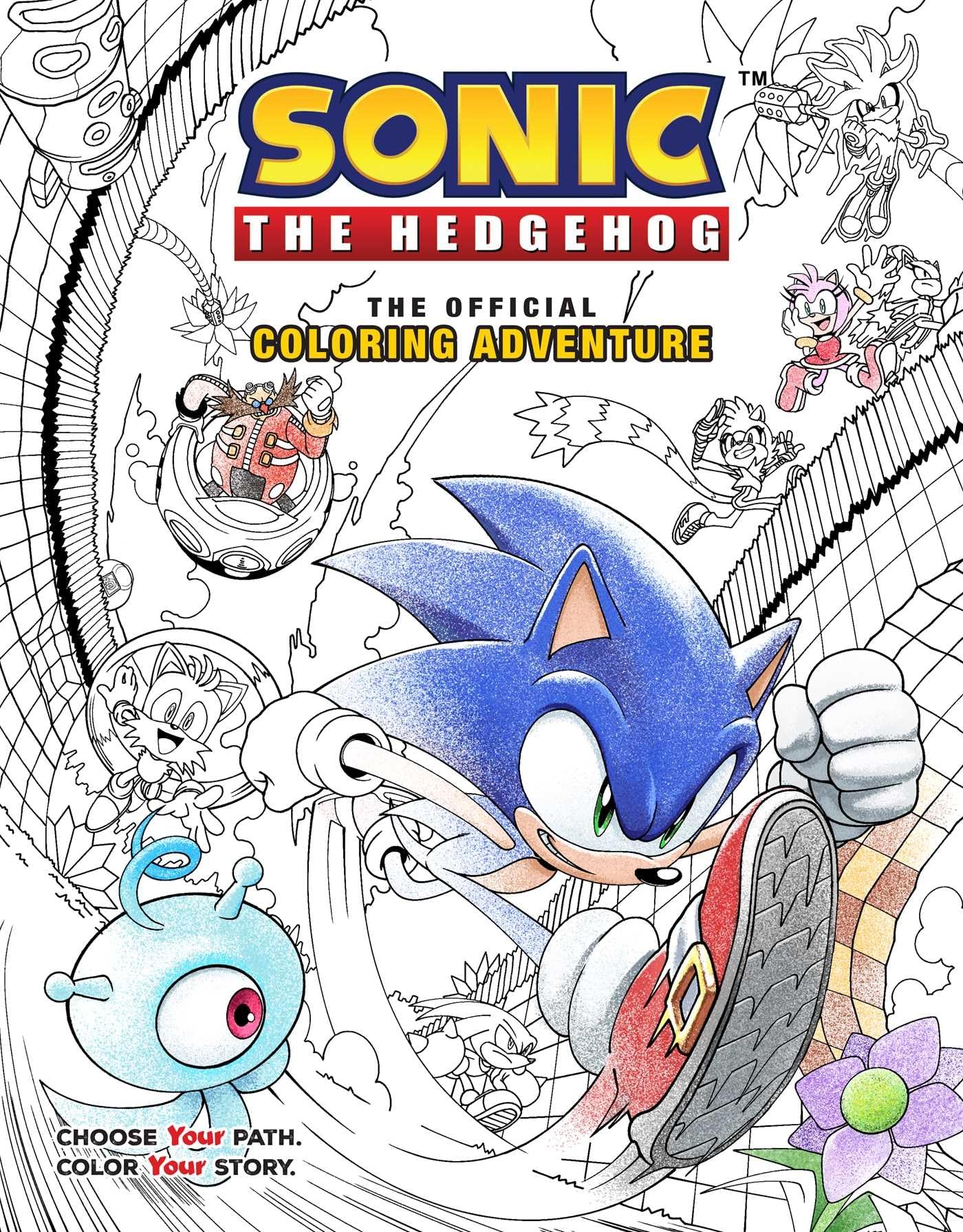 Sonic the Hedgehog: The Official Coloring Adventure (Coloring Adventures) Leisure & Fun