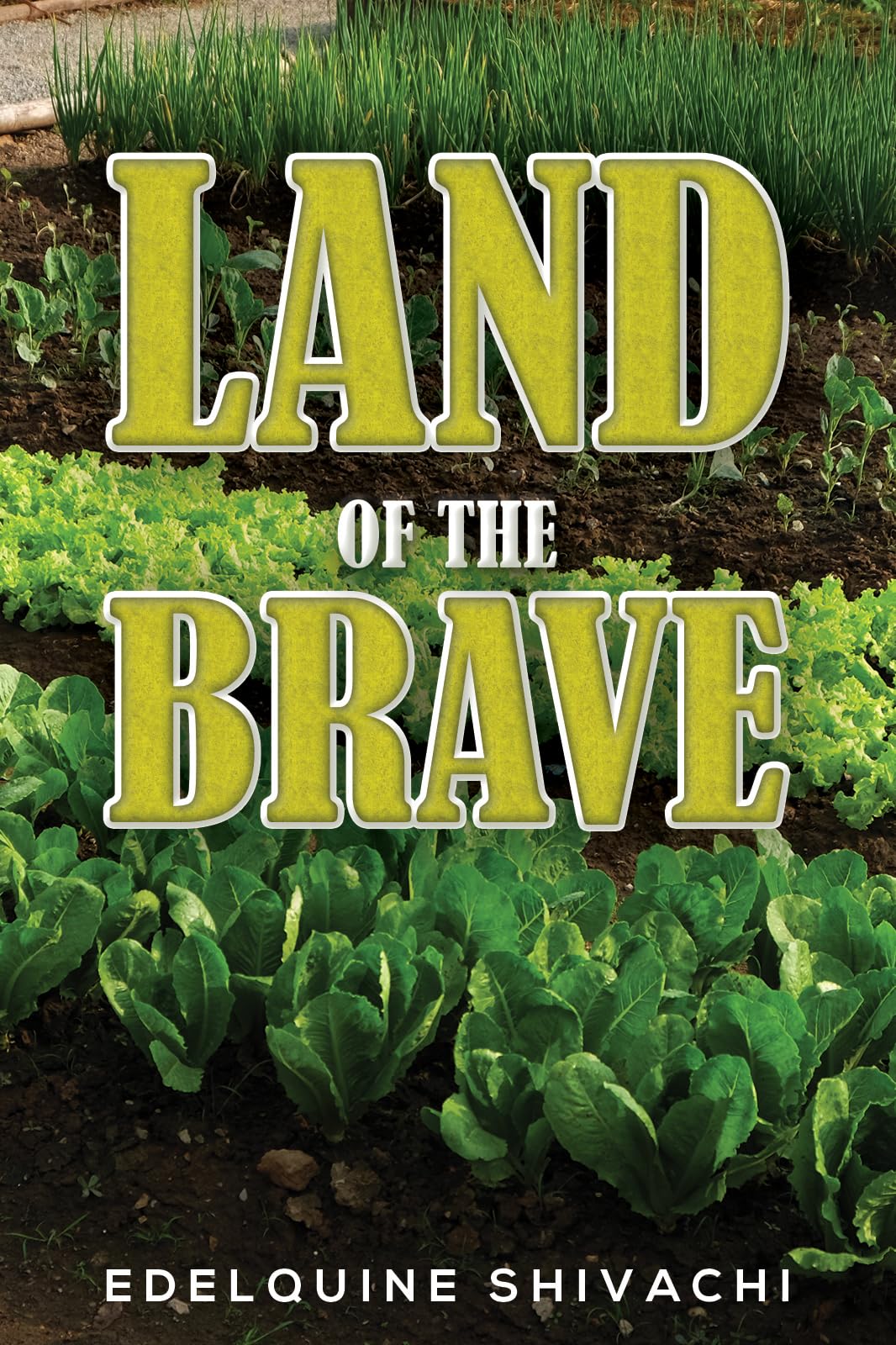 Land of the Brave Memories