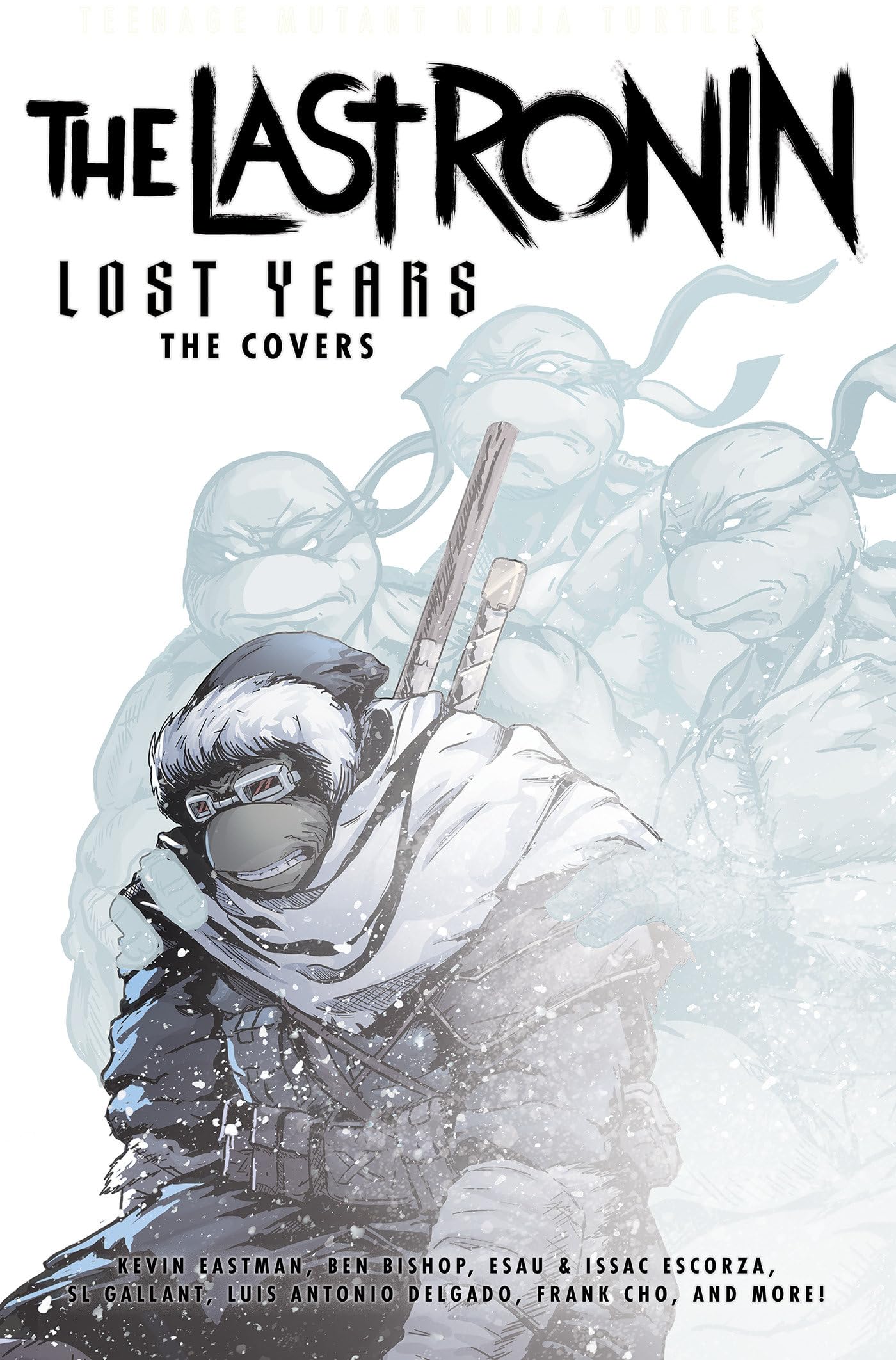 Teenage Mutant Ninja Turtles: The Last Ronin Lost Years--The Covers Books