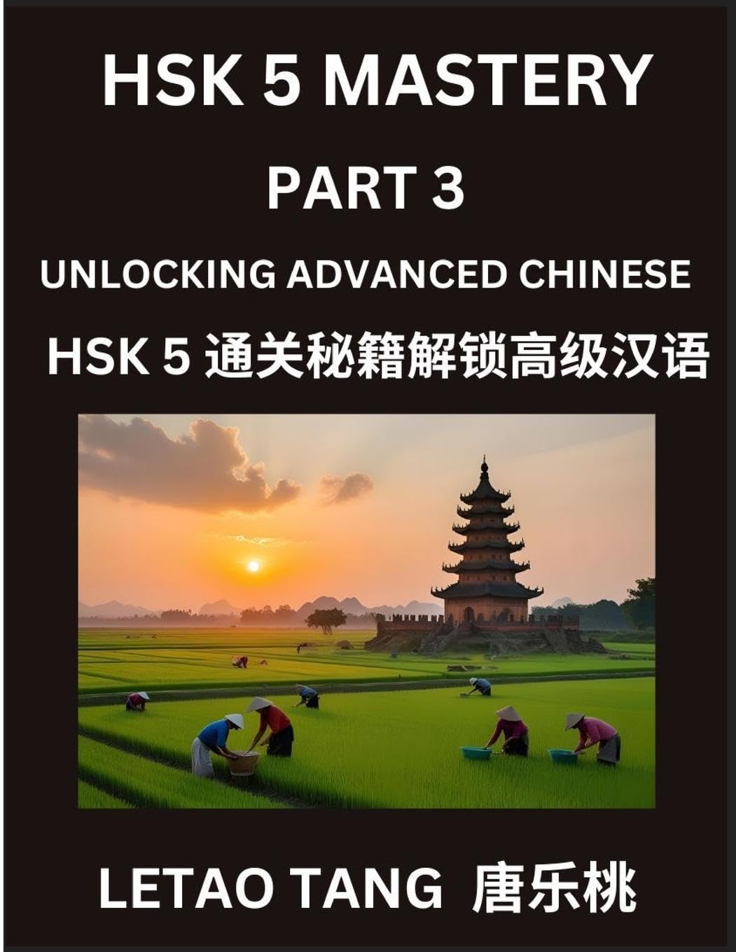 Chinese HSK Level 5 Test (Part 3) - A Guide to HSK Test, Self-study Course Book to Prepare and Qualify HSK All Levels, Stories, Essays, Idioms, Vocabularies, Easy Lessons to Understand China and Mandarin Language and Culture, English, Pinyin, Simplified C Contemporary literature Books