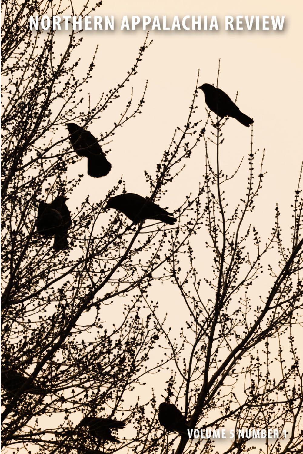 Northern Appalachia Review v5 Contemporary literature