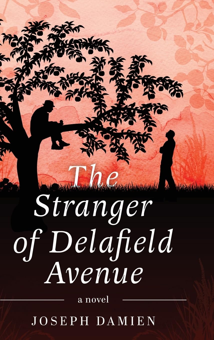 The Stranger of Delafield Avenue Contemporary literature