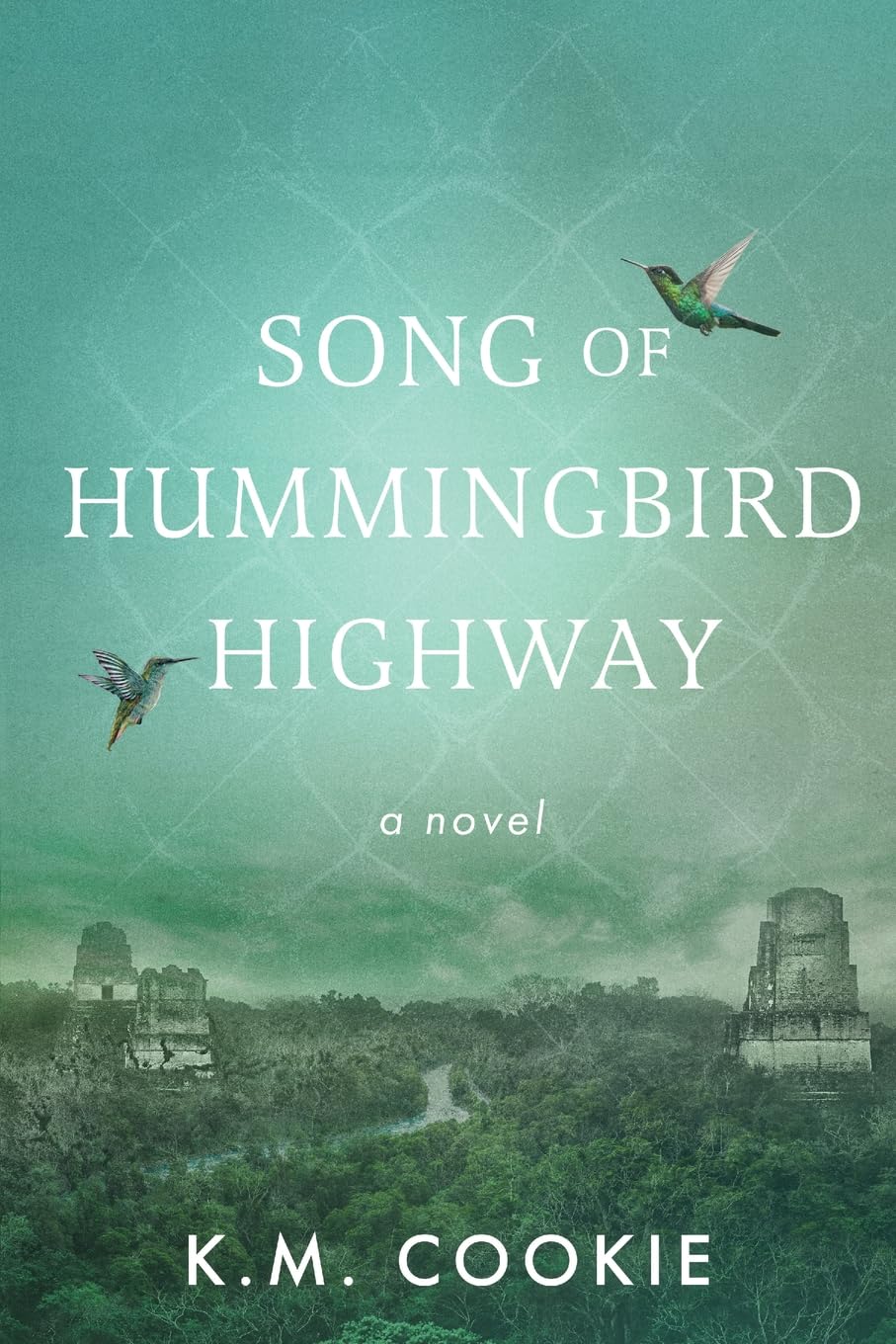 Song of Hummingbird Highway Historical Fiction