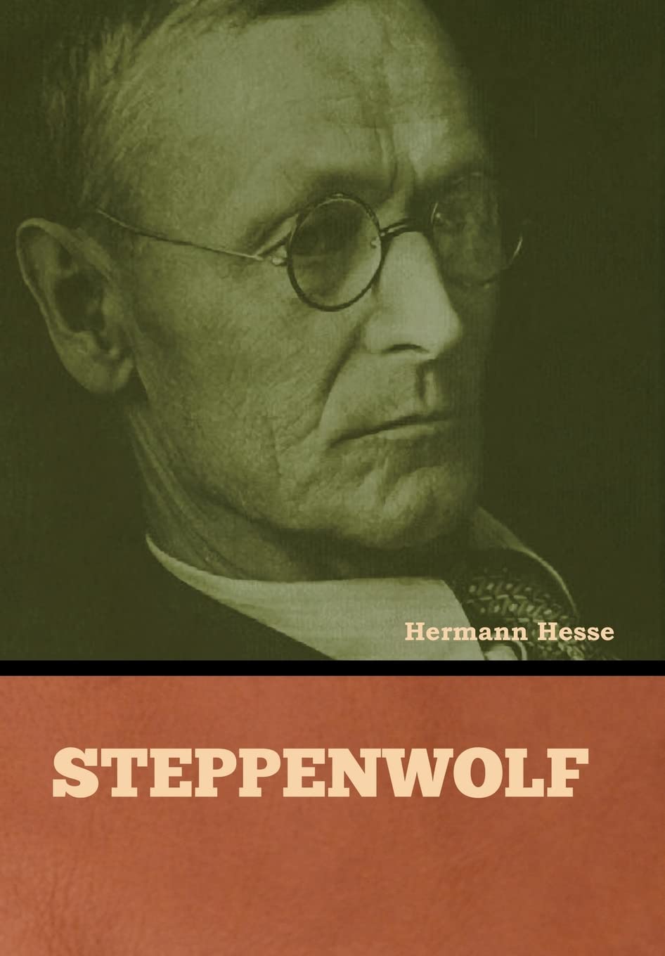 Steppenwolf Contemporary literature