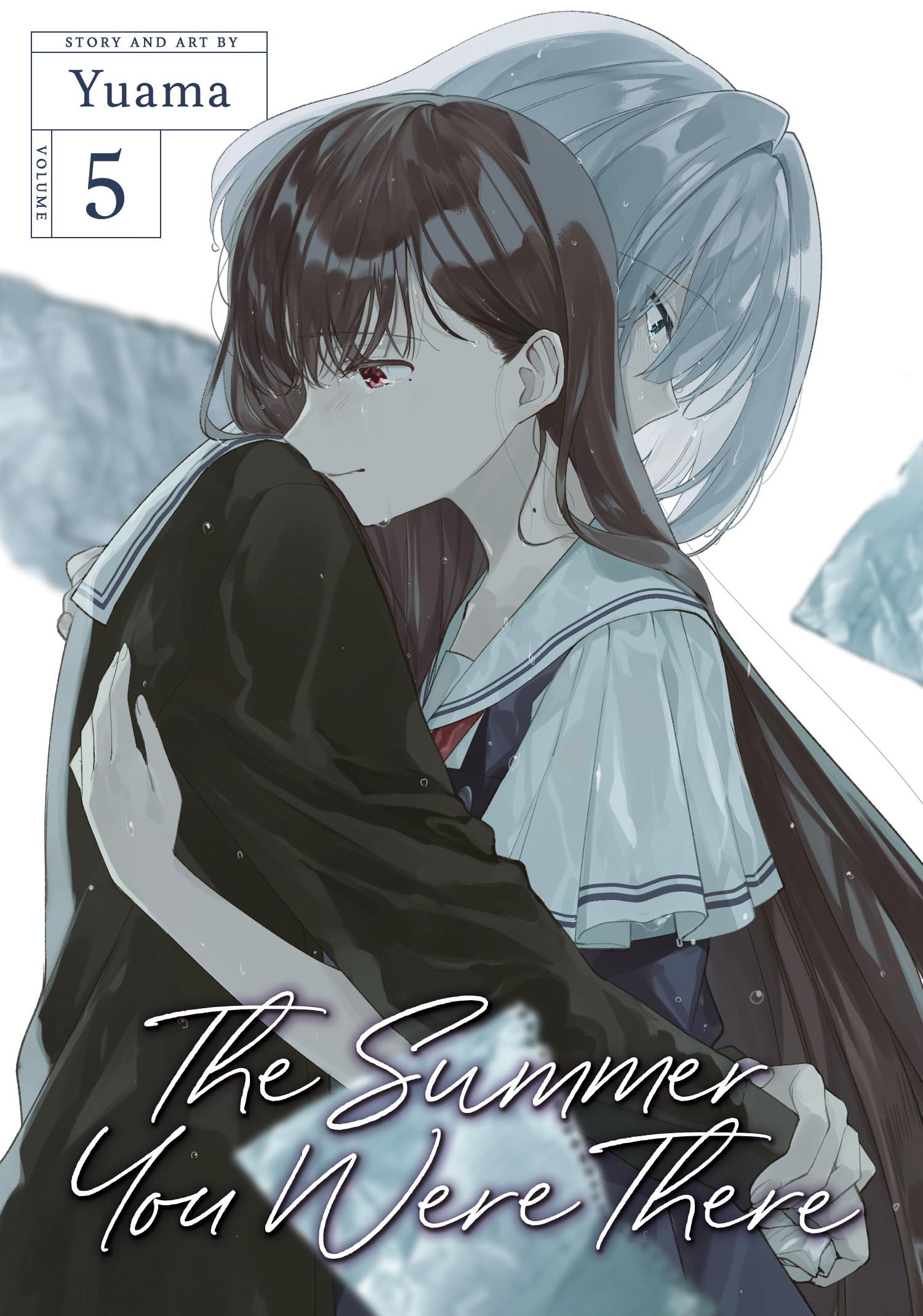 The Summer You Were There Vol. 5 Manga
