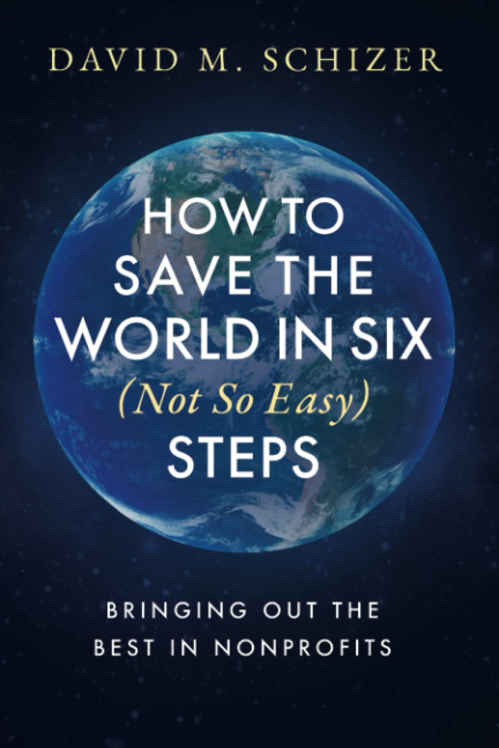 How to Save the World in Six (Not So Easy) Steps: Bringing Out the Best in Nonprofits Business, Finance & Career
