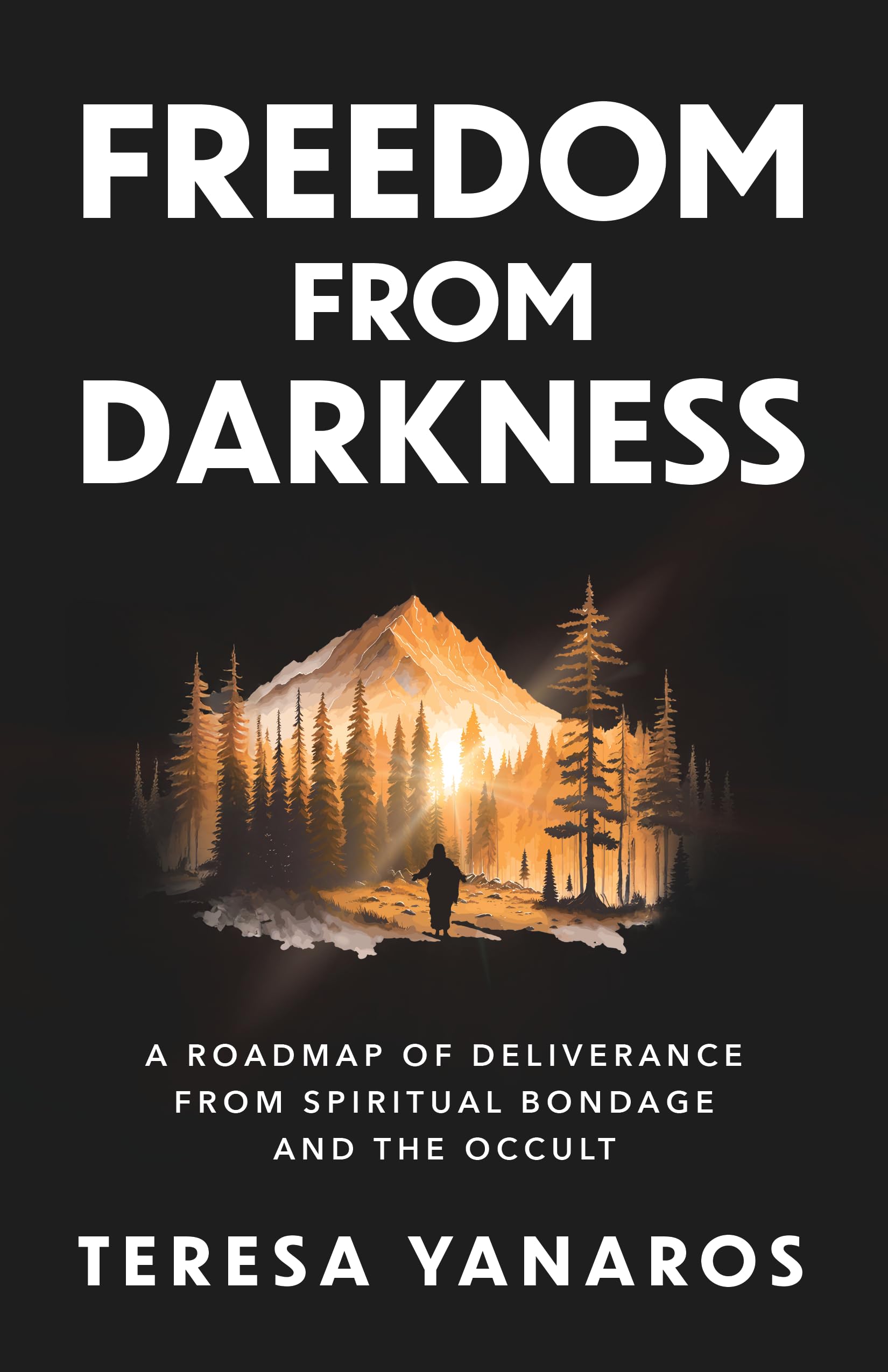 Freedom from Darkness: A Roadmap of Deliverance from Spiritual Bondage and the Occult book