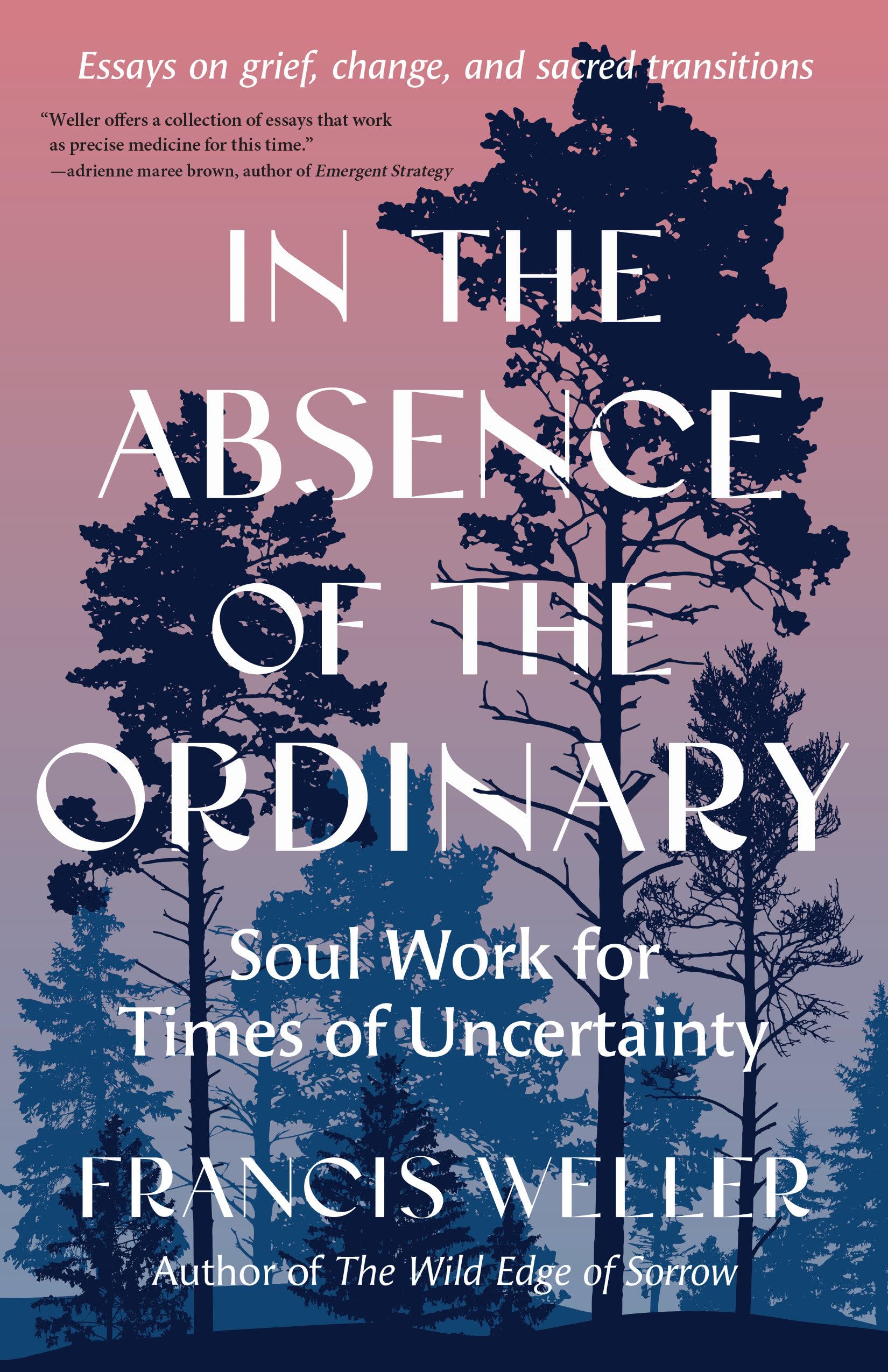 In the Absence of the Ordinary: Soul Work for Times of Uncertainty--Essays on grief, change, and sacred transitions Business, Finance & Career
