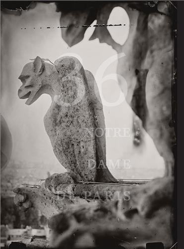 Tomas van Houtryve 36 Views of Notre Dame book