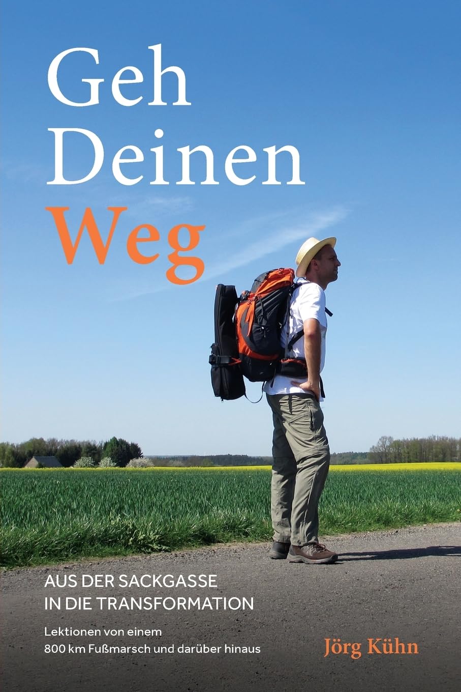 Geh Deinen Weg - Aus der Sackgasse in die Transformation Business, Finance & Career