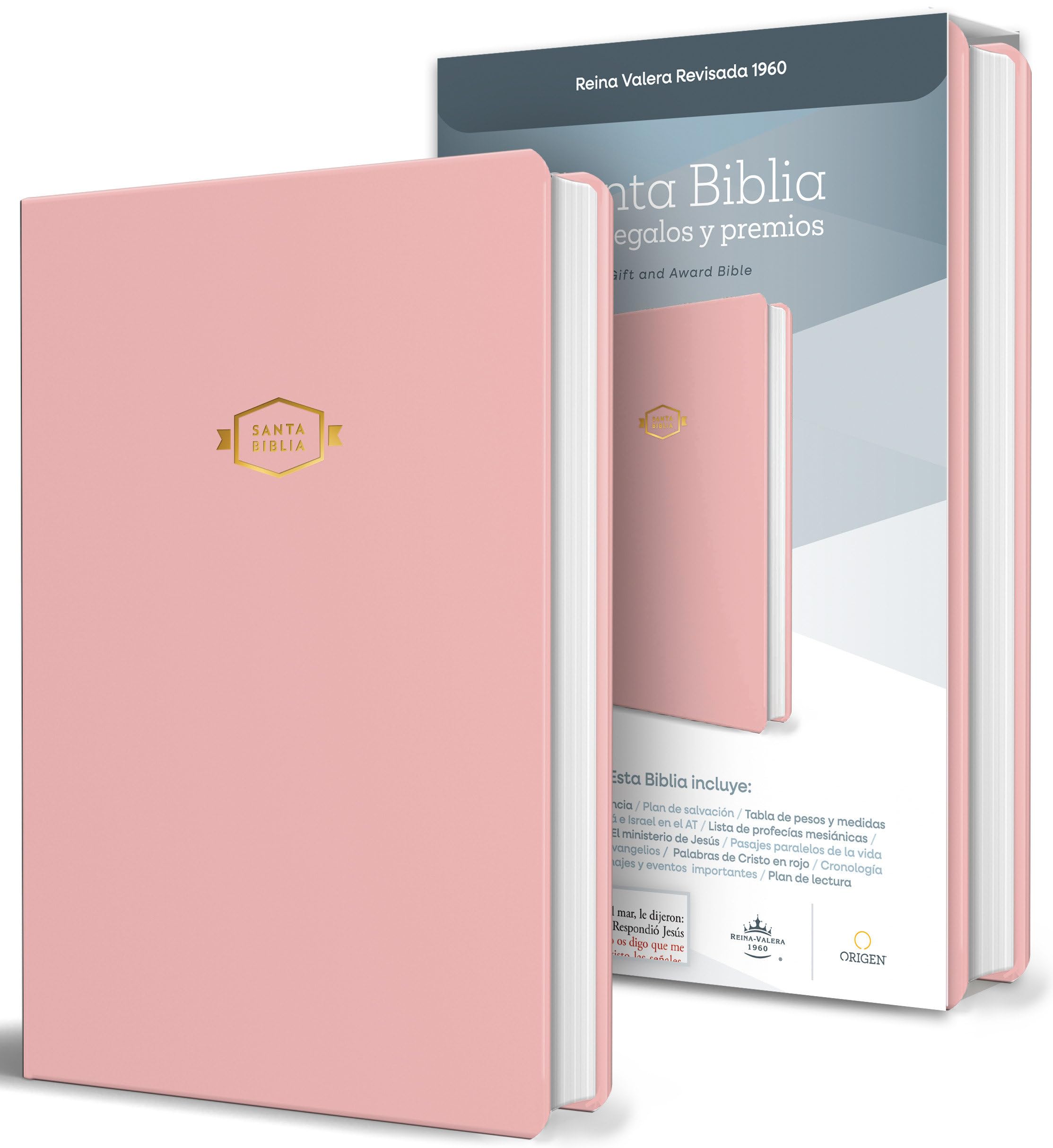 Biblia RVR 1960 para regalos y premios, rosada / Spanish Bible RVR 1960 Gift and Award Bible Pink Religion & Esotericism