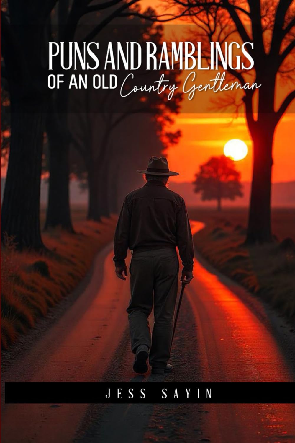 Puns And Ramblings of an Old Country Gentleman Contemporary literature