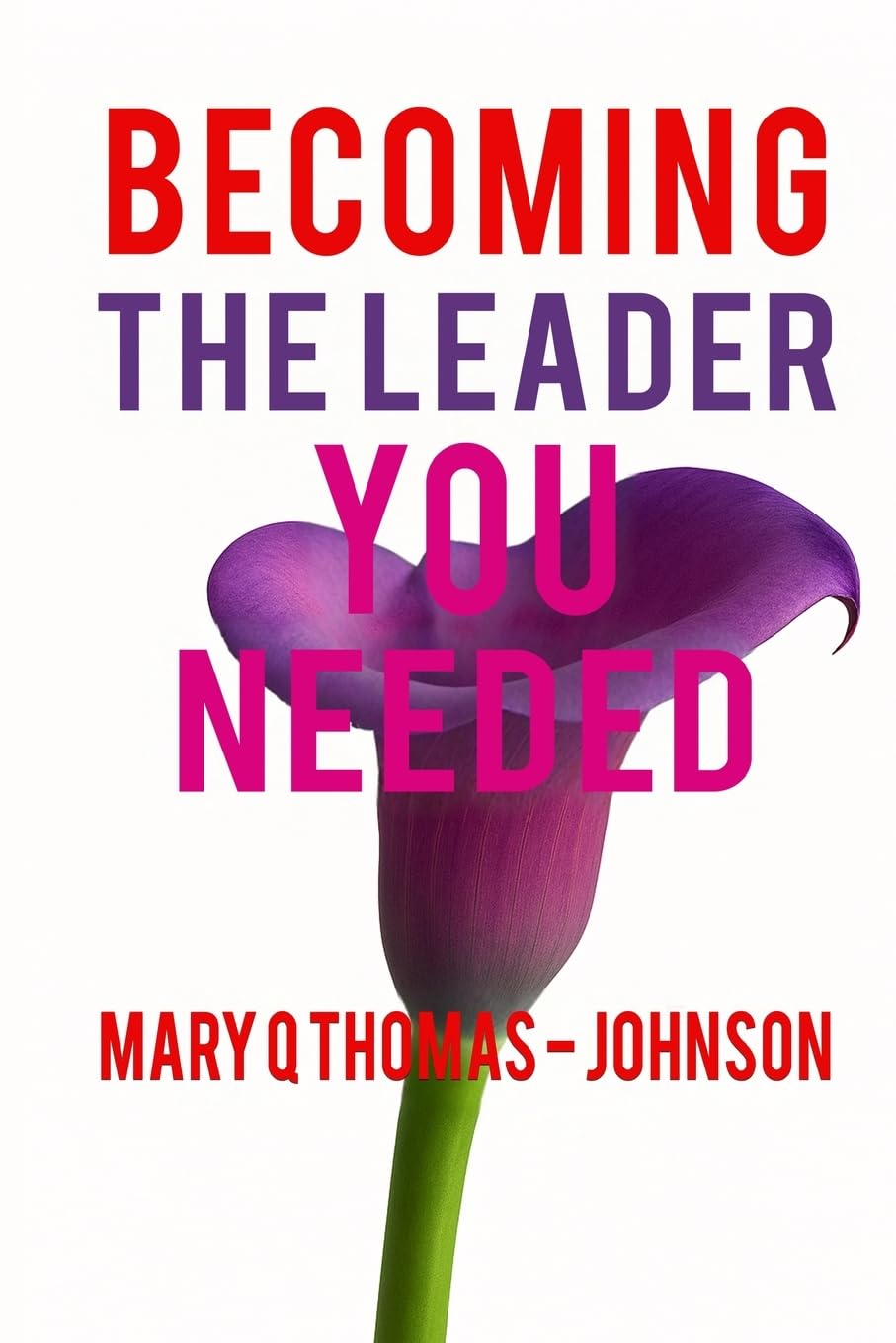 Becoming the Leader You Needed Business, Finance & Career
