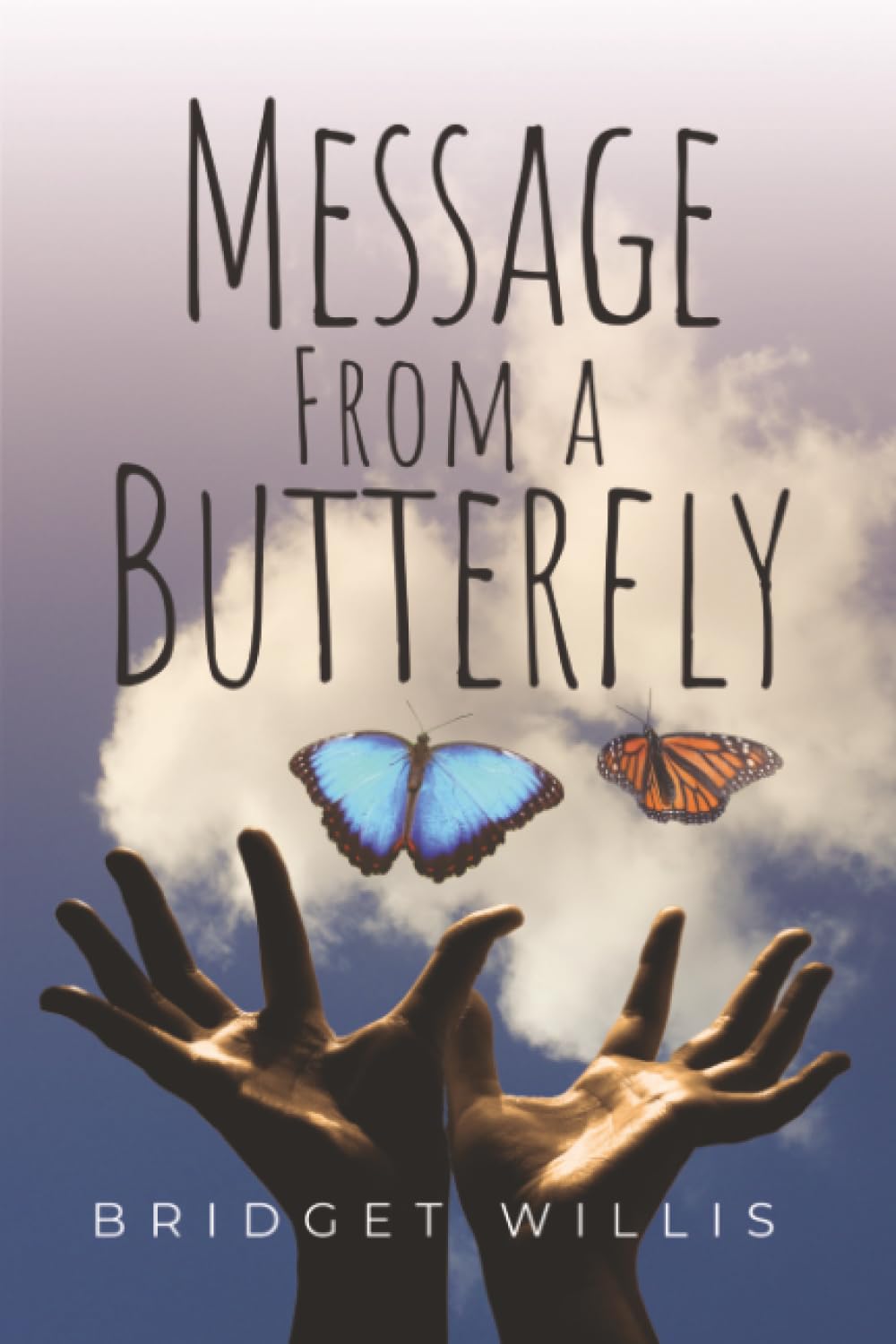 Message From a Butterfly Memories