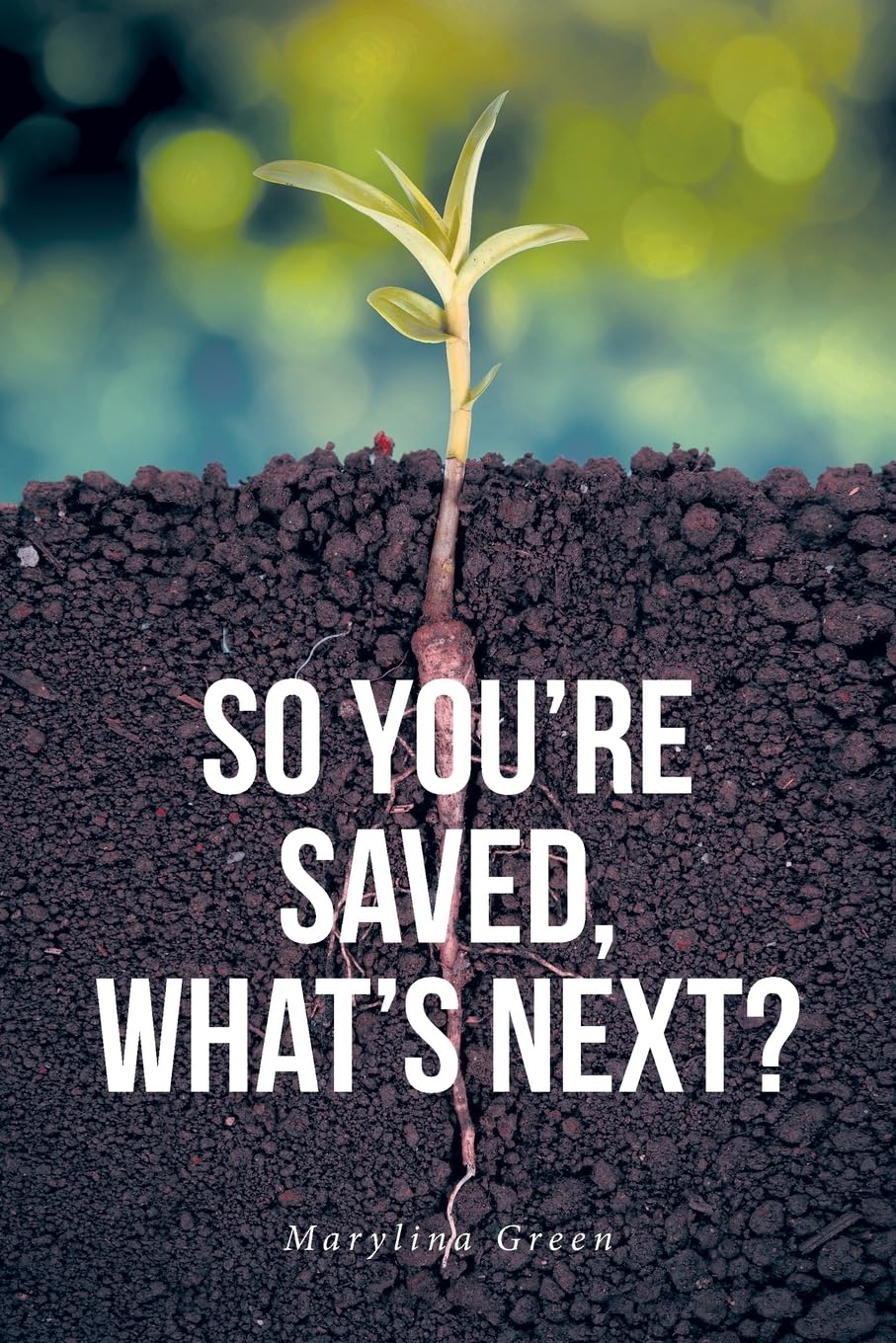 So You're Saved, What's Next? Education