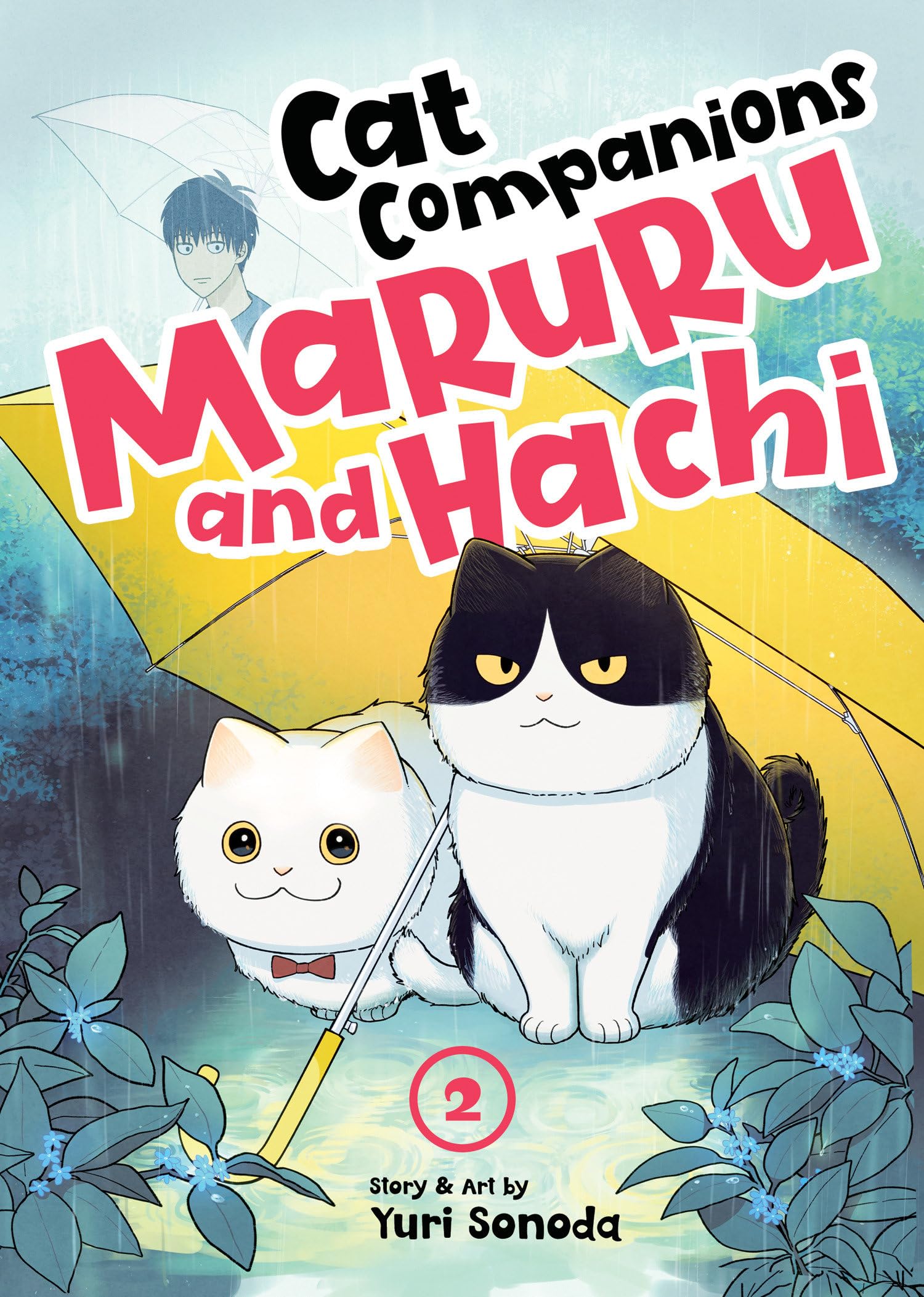 Cat Companions Maruru and Hachi Vol. 2 Contemporary literature