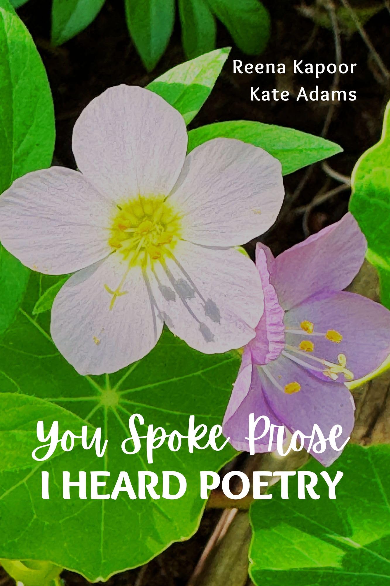 You Spoke Prose, I Heard Poetry Contemporary literature