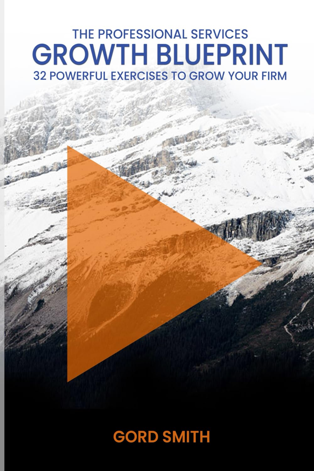 The Professional Services Growth Blueprint: 32 Powerful Exercises to Grow Your Firm Business, Finance & Career
