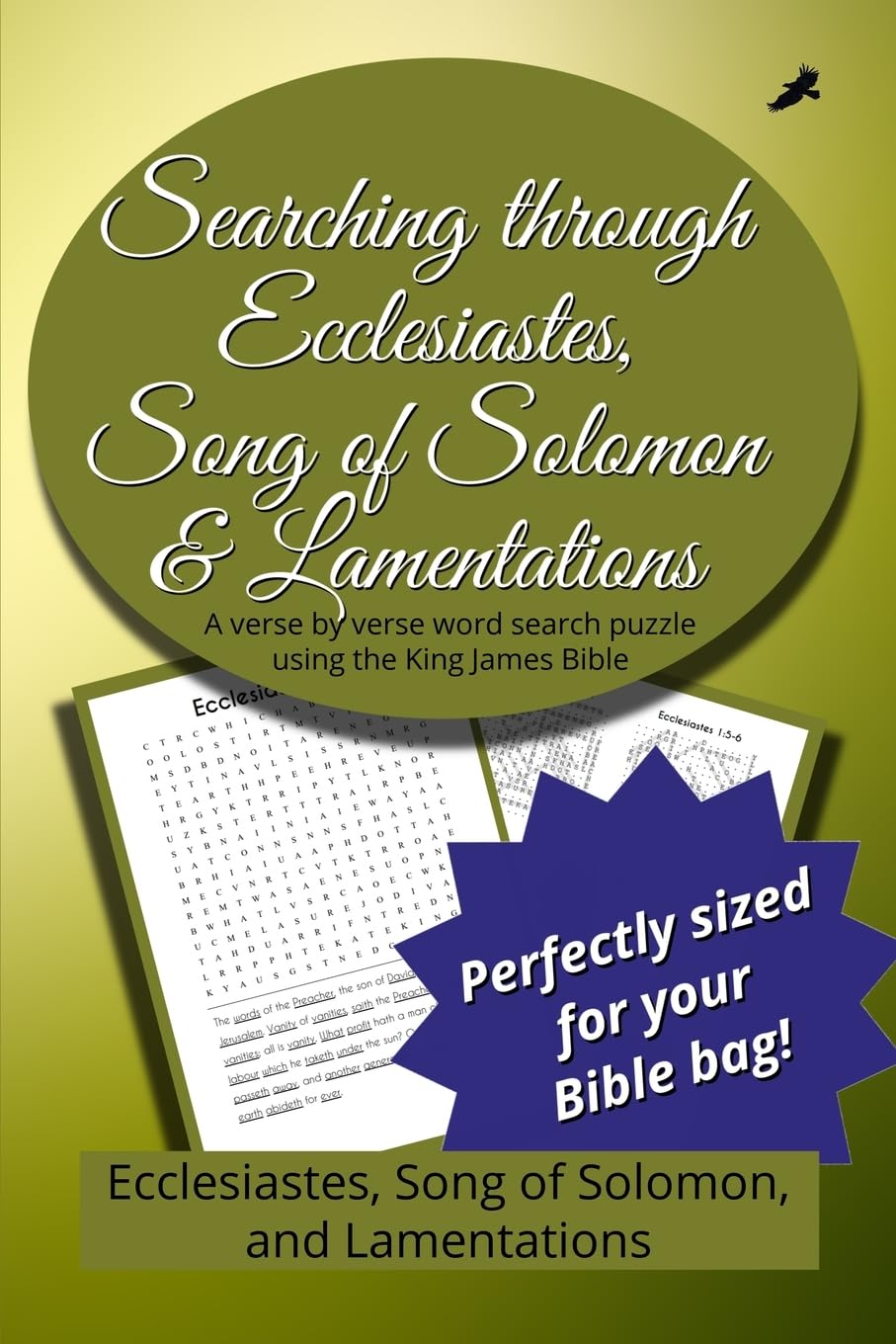Searching Through Ecclesiastes, Song of Solomon, and Lamentations Leisure & Fun