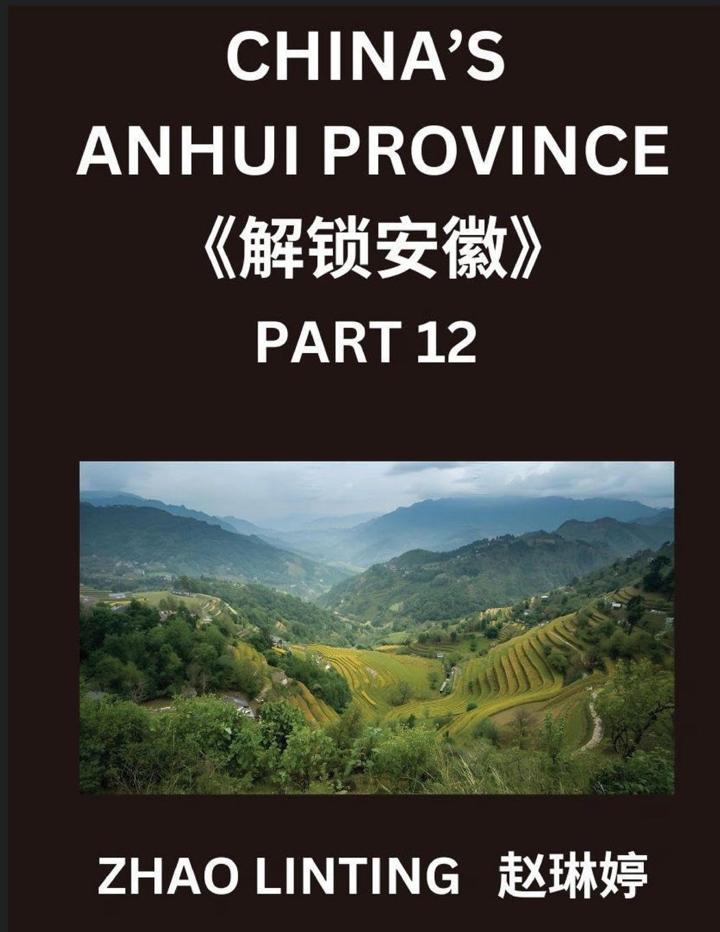 China's Anhui Province (Part 12)- Simplified Mandarin Chinese Unveiled, Characters, Words, Sentences, and Virtual Mainland Chinese Identification, Featuring Shen Fen Zheng for All Ethnicities, Complete with Pinyin, English, and HSK Level Alignment Contemporary literature Books